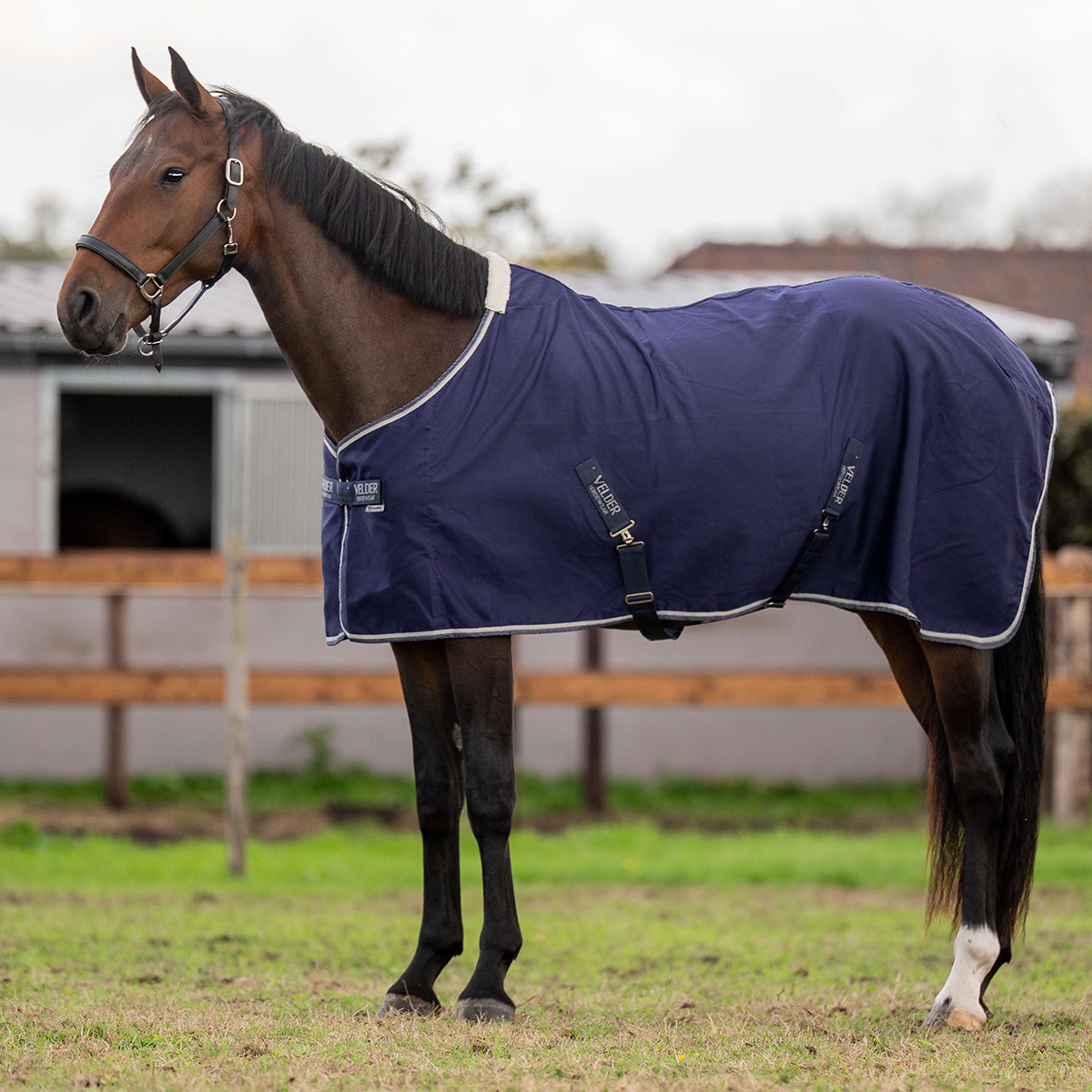 Velder Horsewear Essentials Zomerdeken Navy
