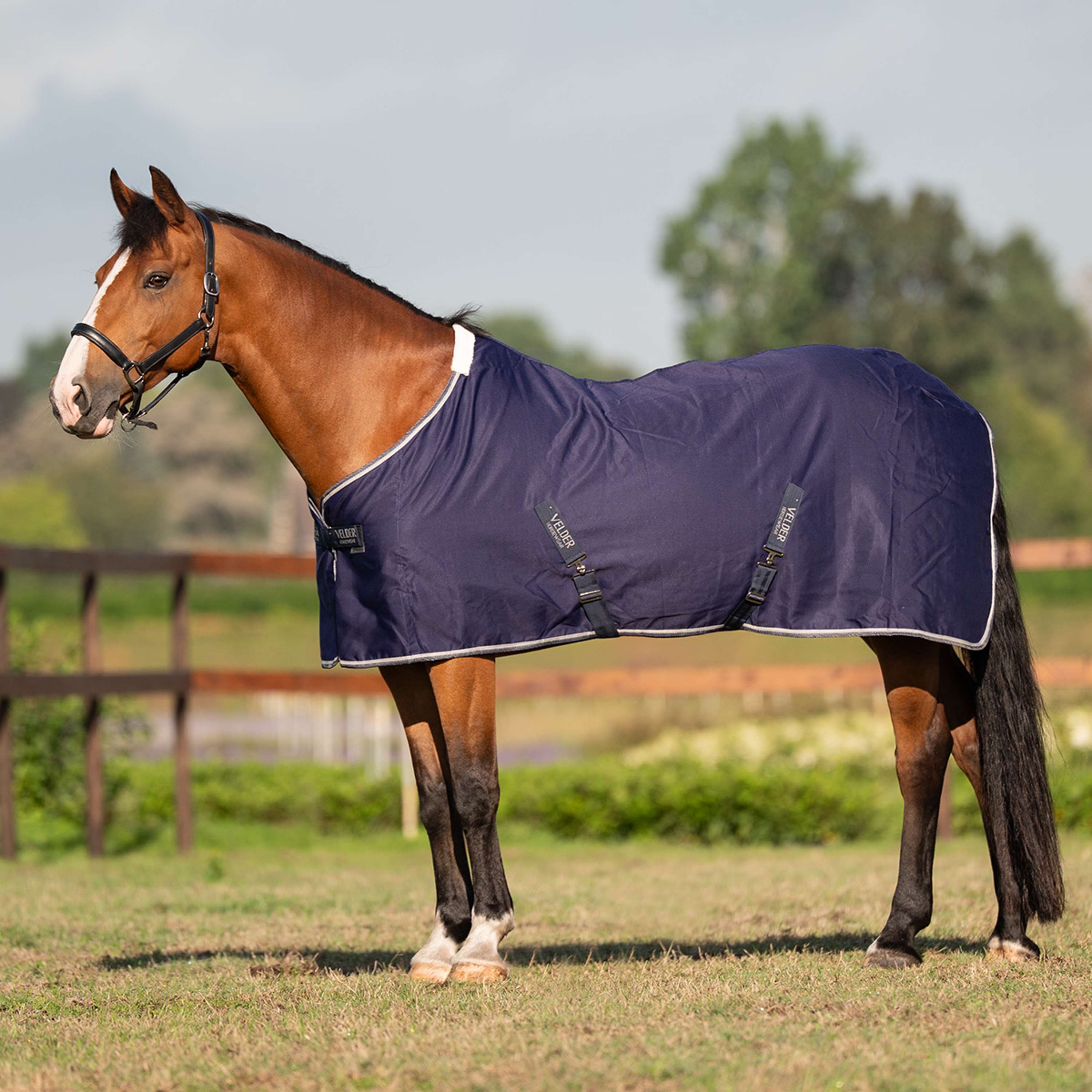 Velder Horsewear Essentials Zomerdeken Navy