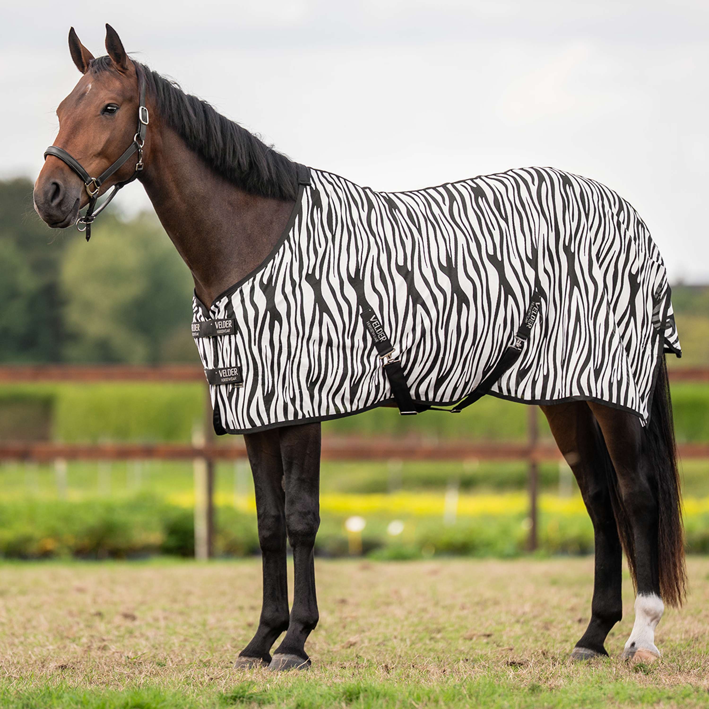 Velder Horsewear Essentials Vliegendeken Zebra Zwart/Wit