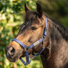 Velder Horsewear Essentials Halster Basic Navy