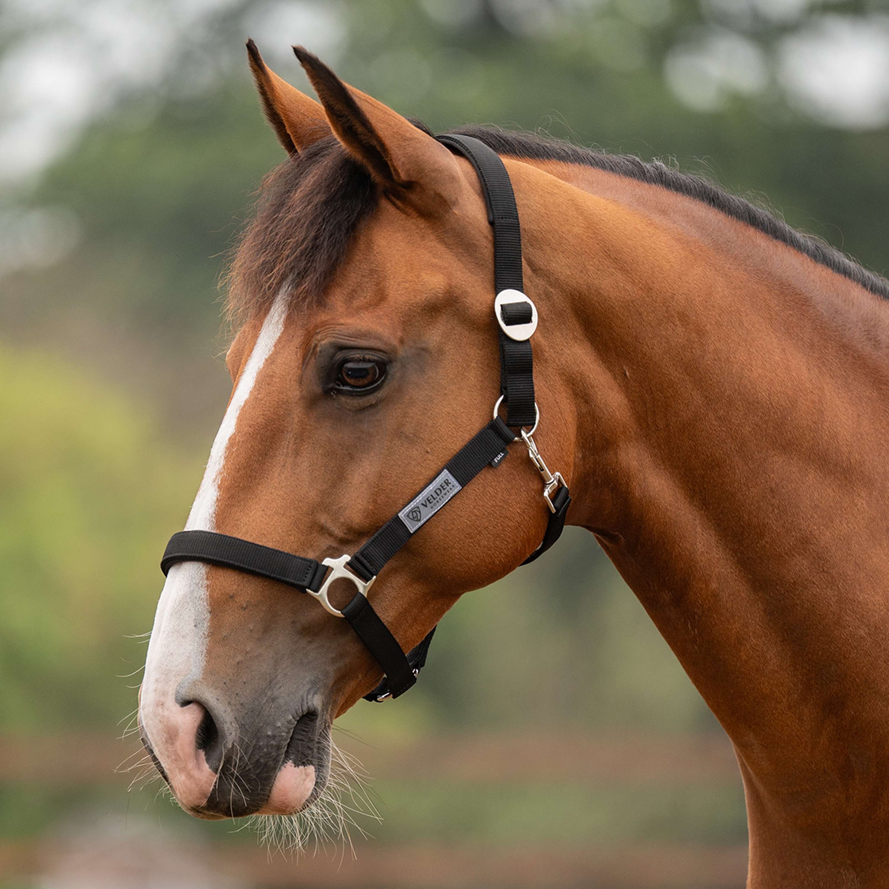 Velder Horsewear Essentials Halster Basic Padded Zwart