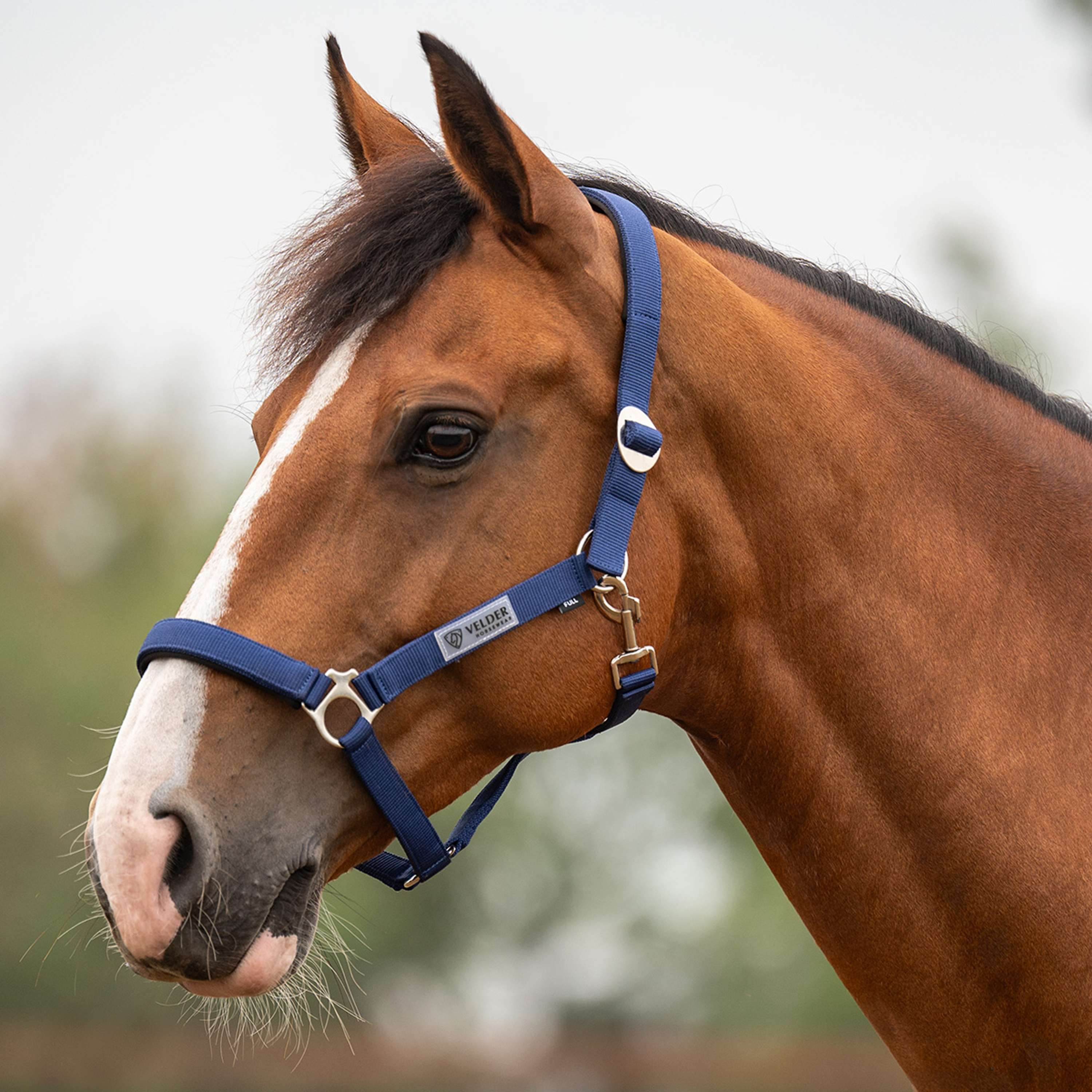 Velder Horsewear Essentials Halster Basic Padded Navy