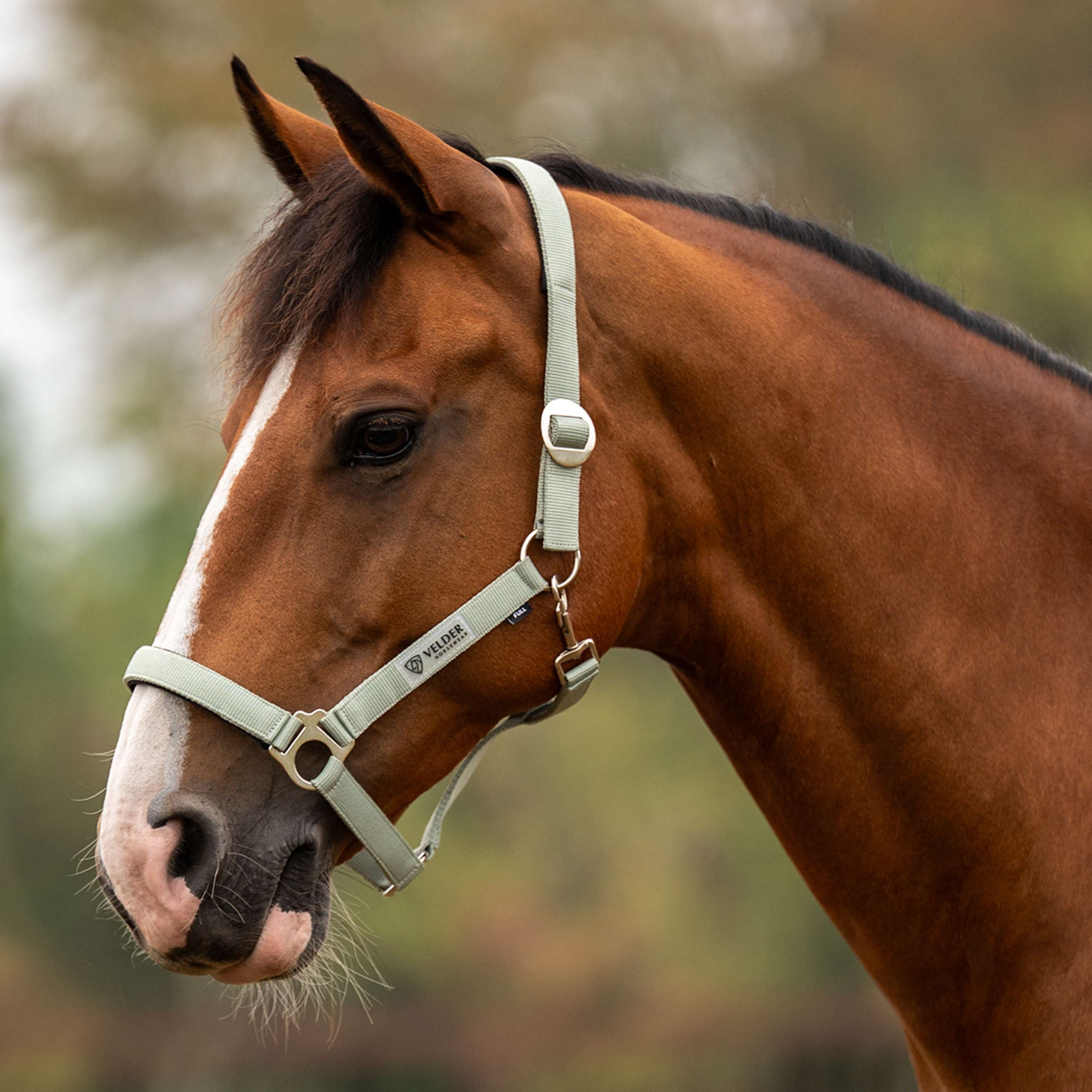 Velder Horsewear Essentials Halster Basic Padded Groen