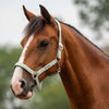 Velder Horsewear Essentials Halster Basic Padded Groen