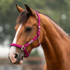 Velder Horsewear Essentials Halster Basic Padded Boysenberry