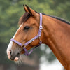 Velder Horsewear Essentials Halster Basic Padded Purple Sage