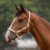Velder Horsewear Essentials Halster Basic Padded Sand Dollar