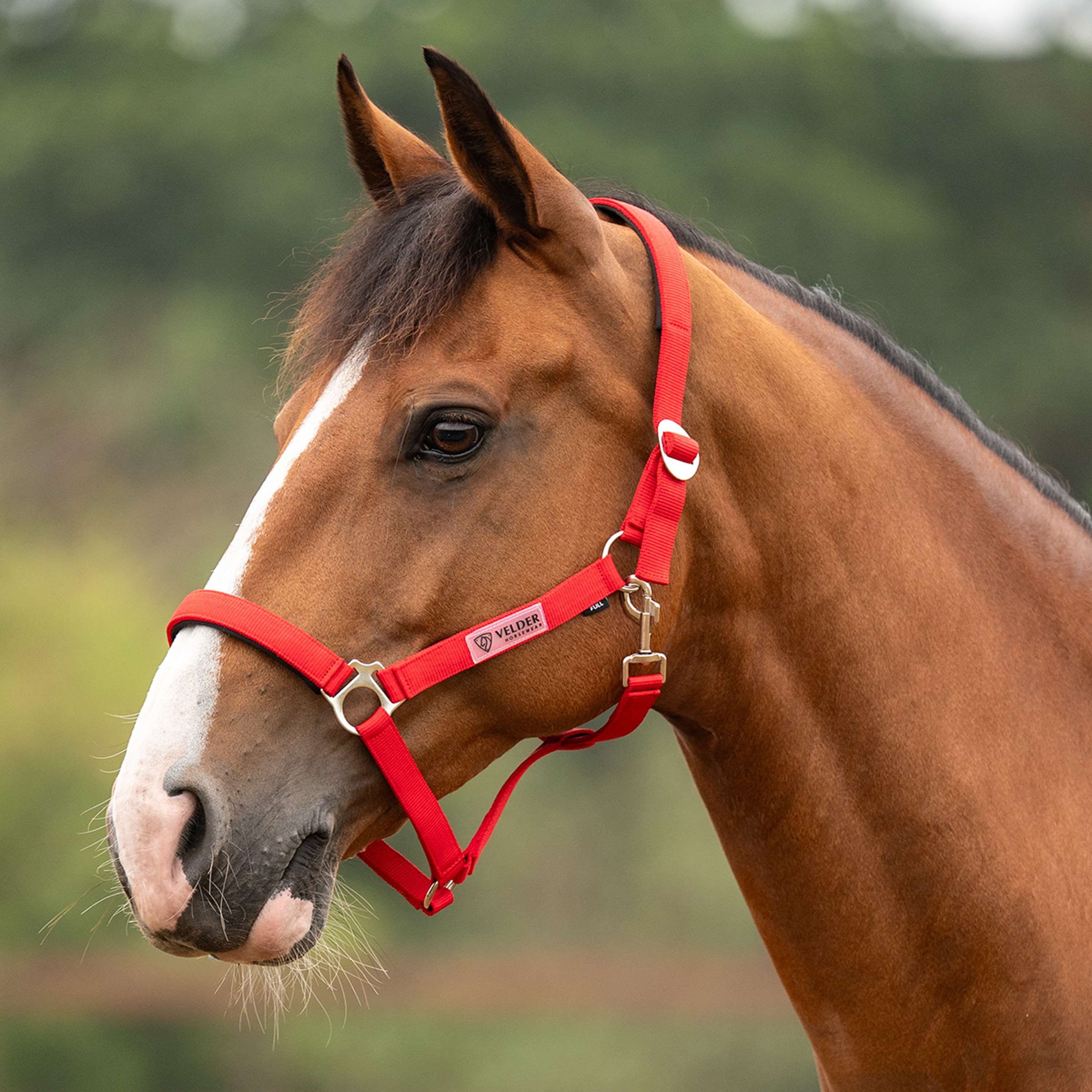 Velder Horsewear Essentials Halster Basic Padded High Risk Red