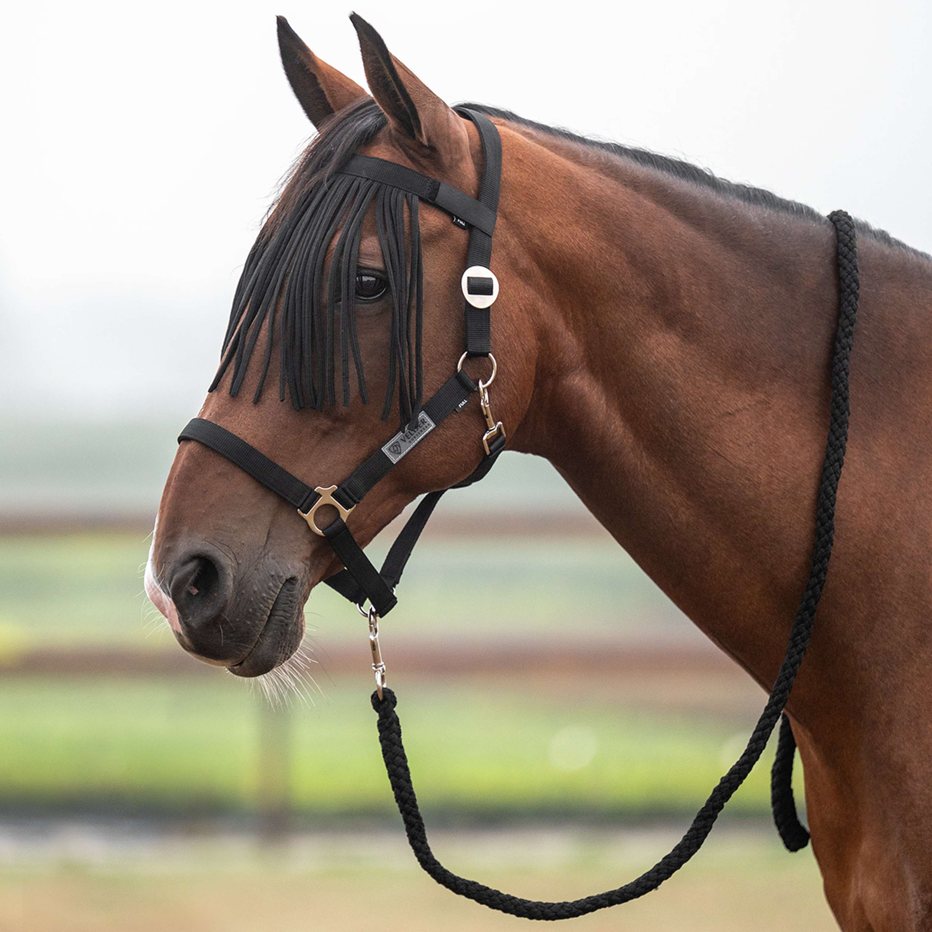 Velder Horsewear Essentials Halsterset Basic Summer Zwart