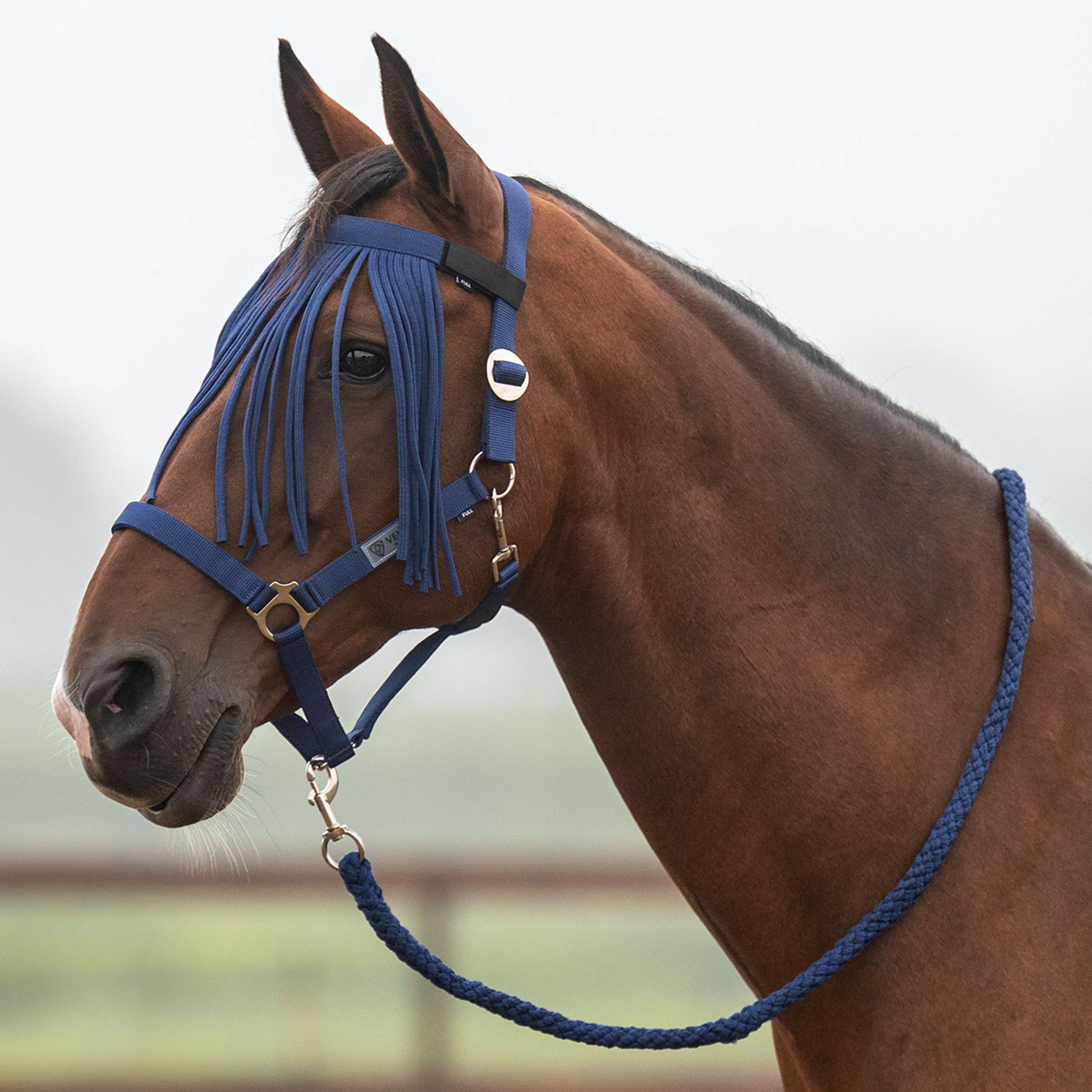 Velder Horsewear Essentials Halsterset Basic Summer Navy