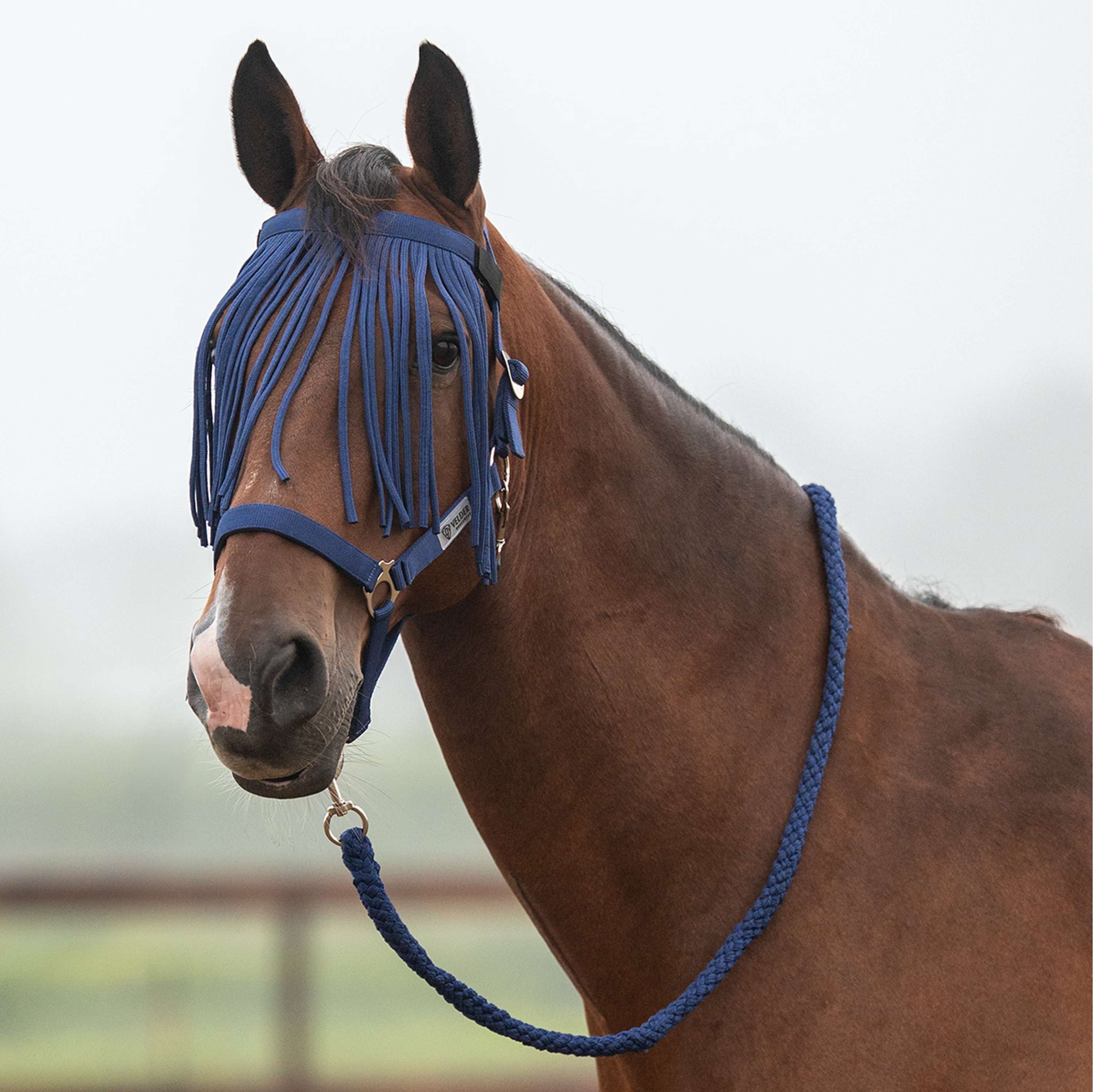 Velder Horsewear Essentials Halsterset Basic Summer Navy