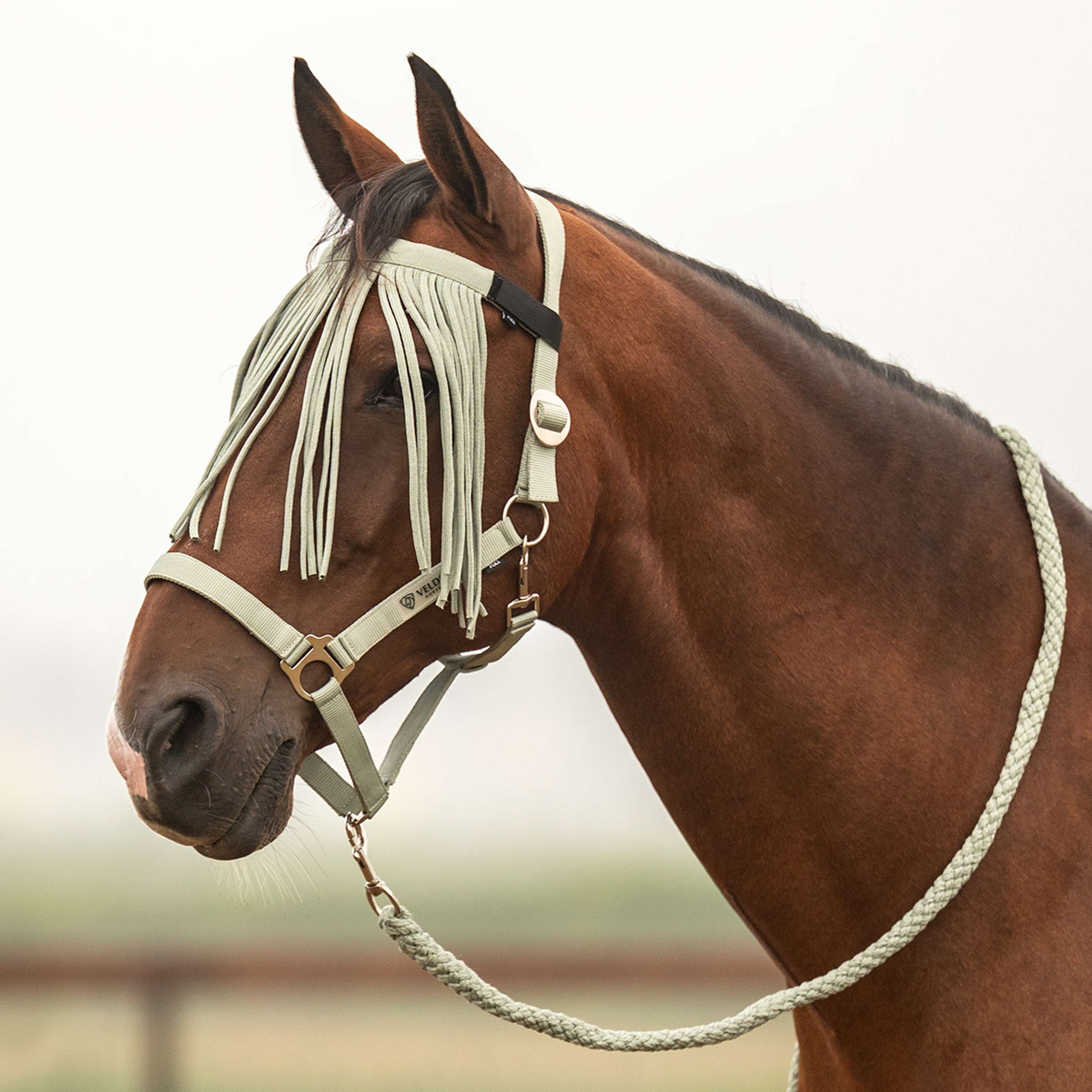 Velder Horsewear Essentials Halsterset Basic Summer Groen