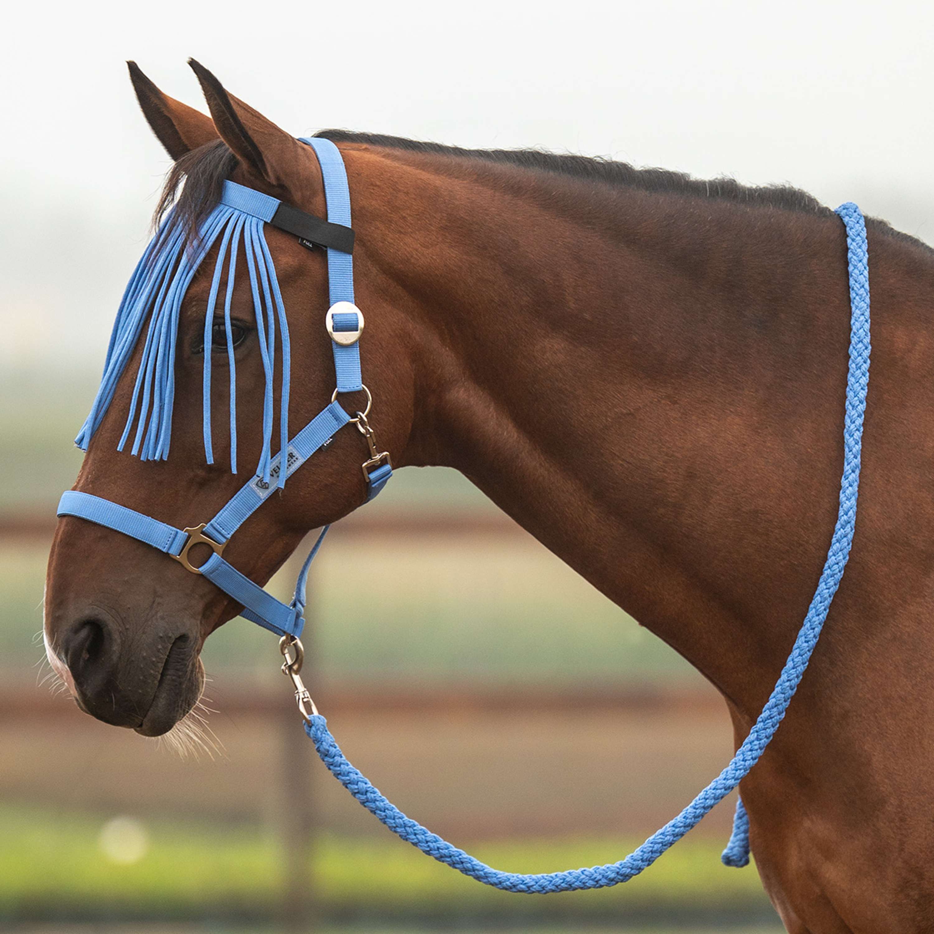 Velder Horsewear Essentials Halsterset Basic Summer Bright Cornflower