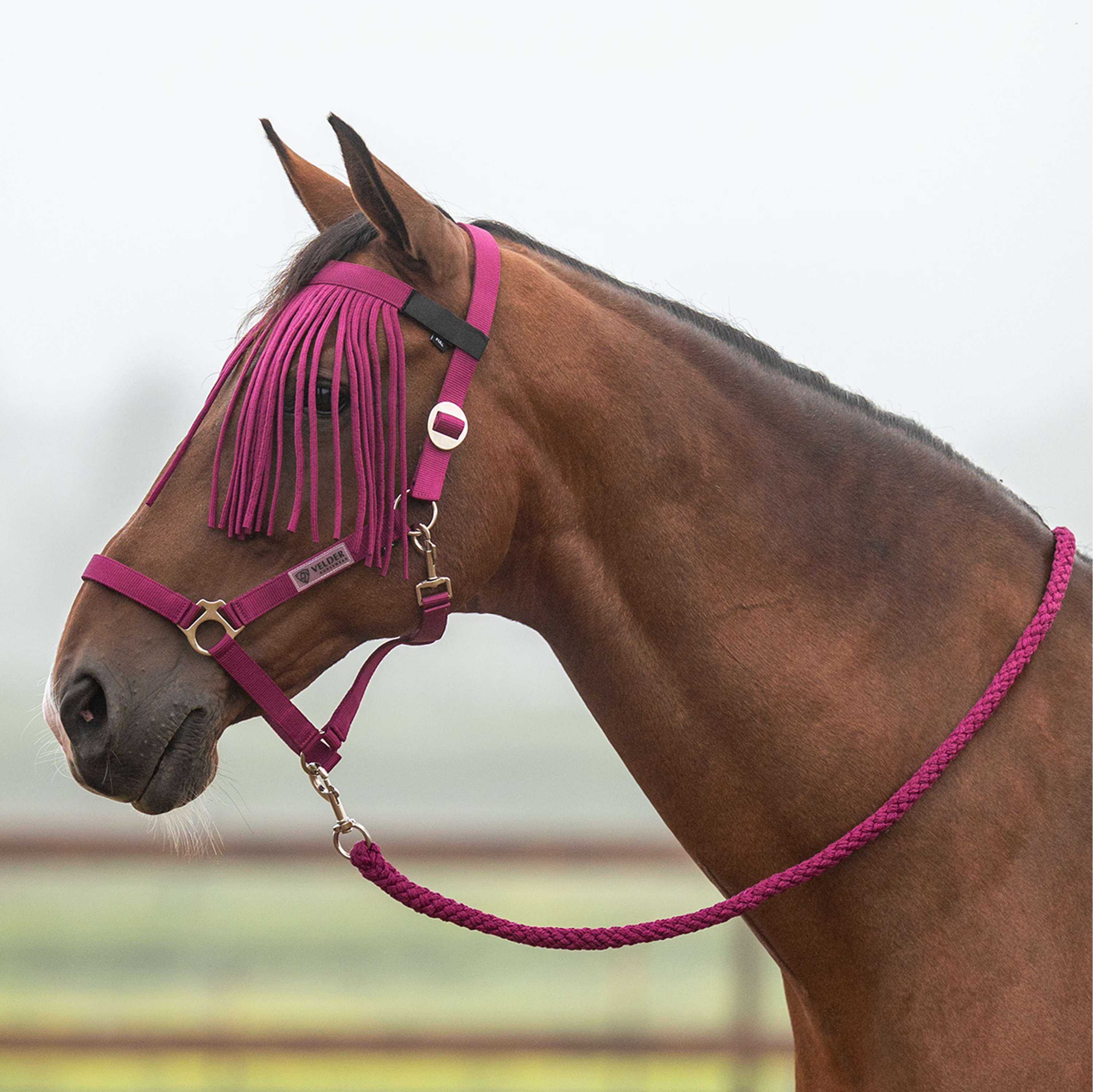 Velder Horsewear Essentials Halsterset Basic Summer Boysenberry