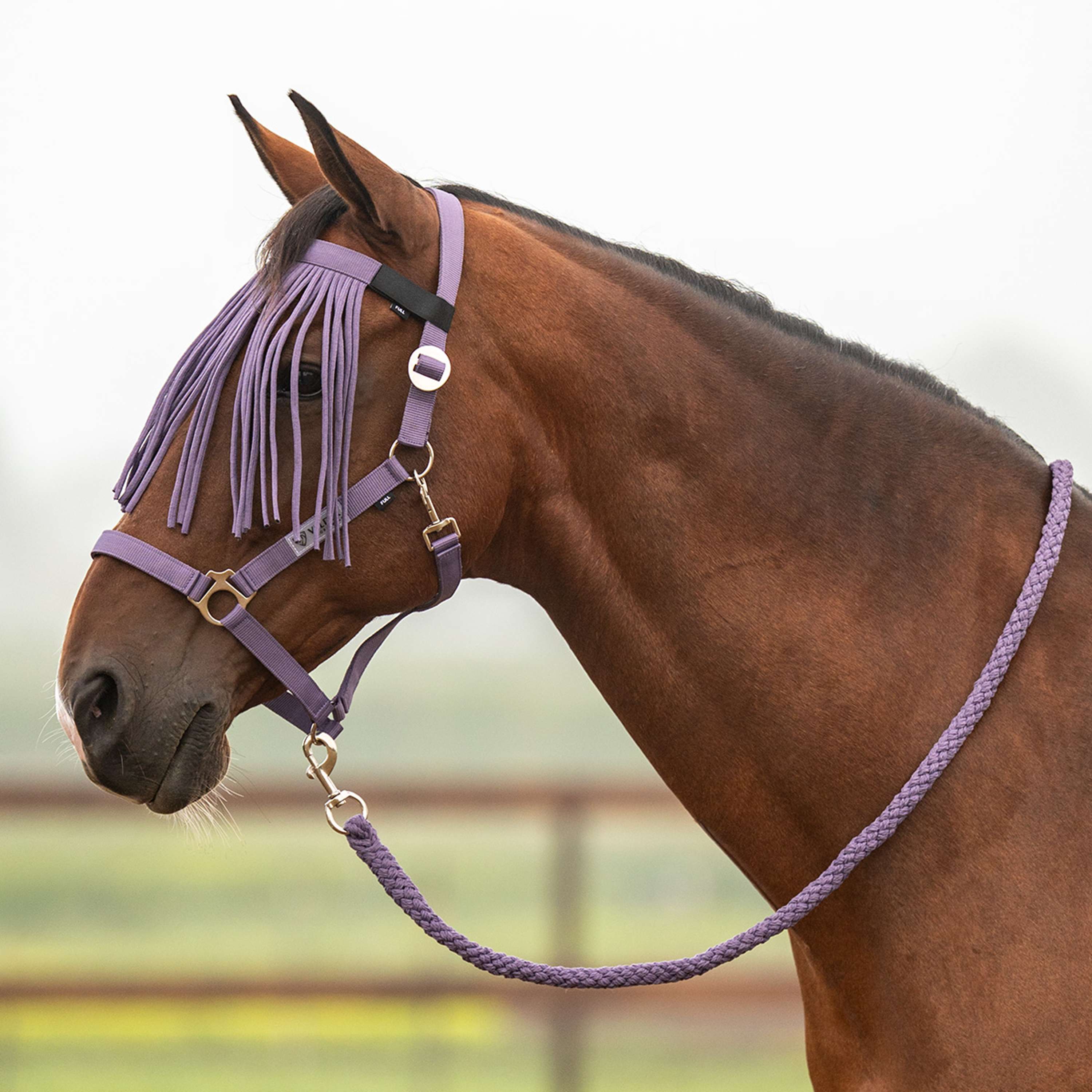Velder Horsewear Essentials Halsterset Basic Summer Purple Sage