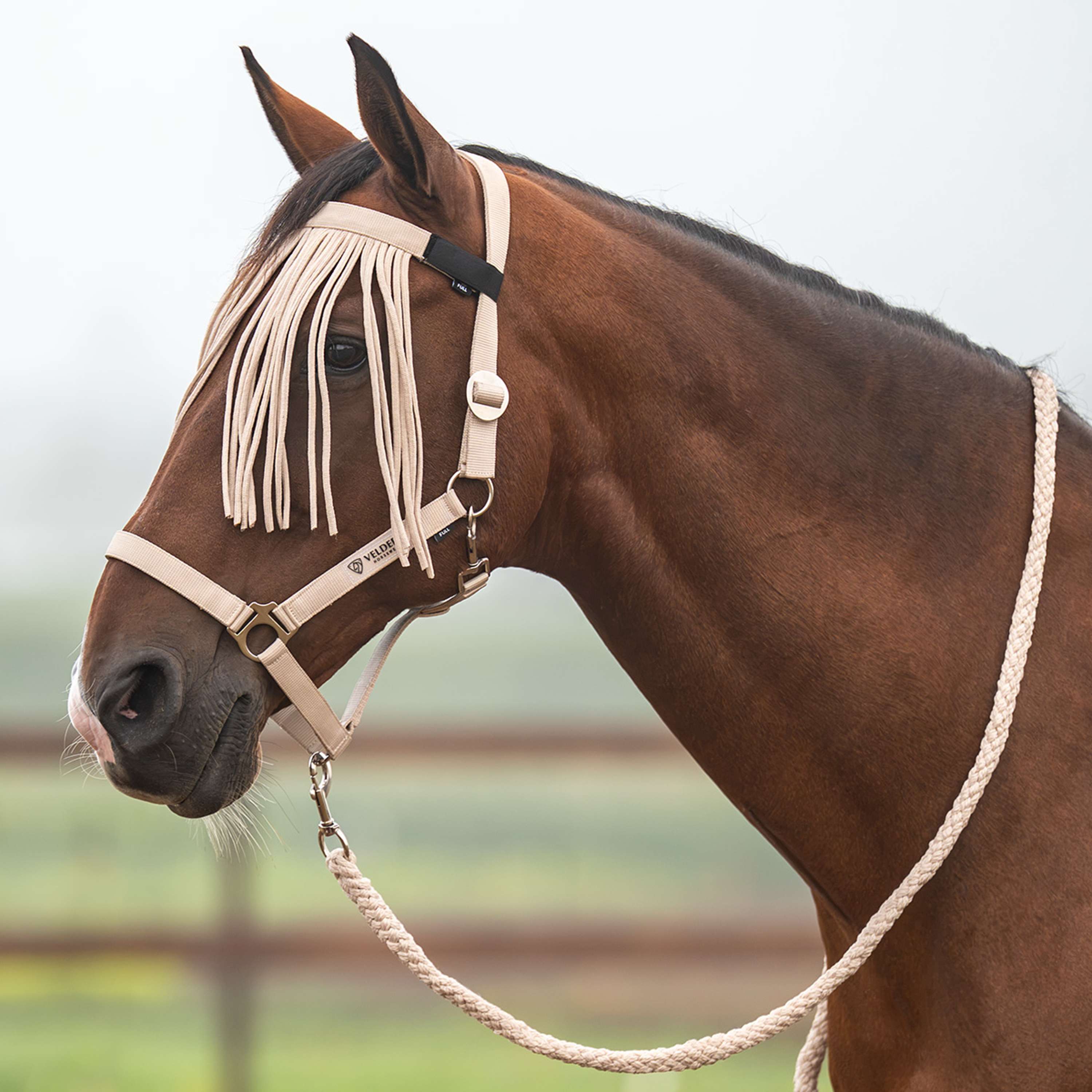 Velder Horsewear Essentials Halsterset Basic Summer Sand Dollar