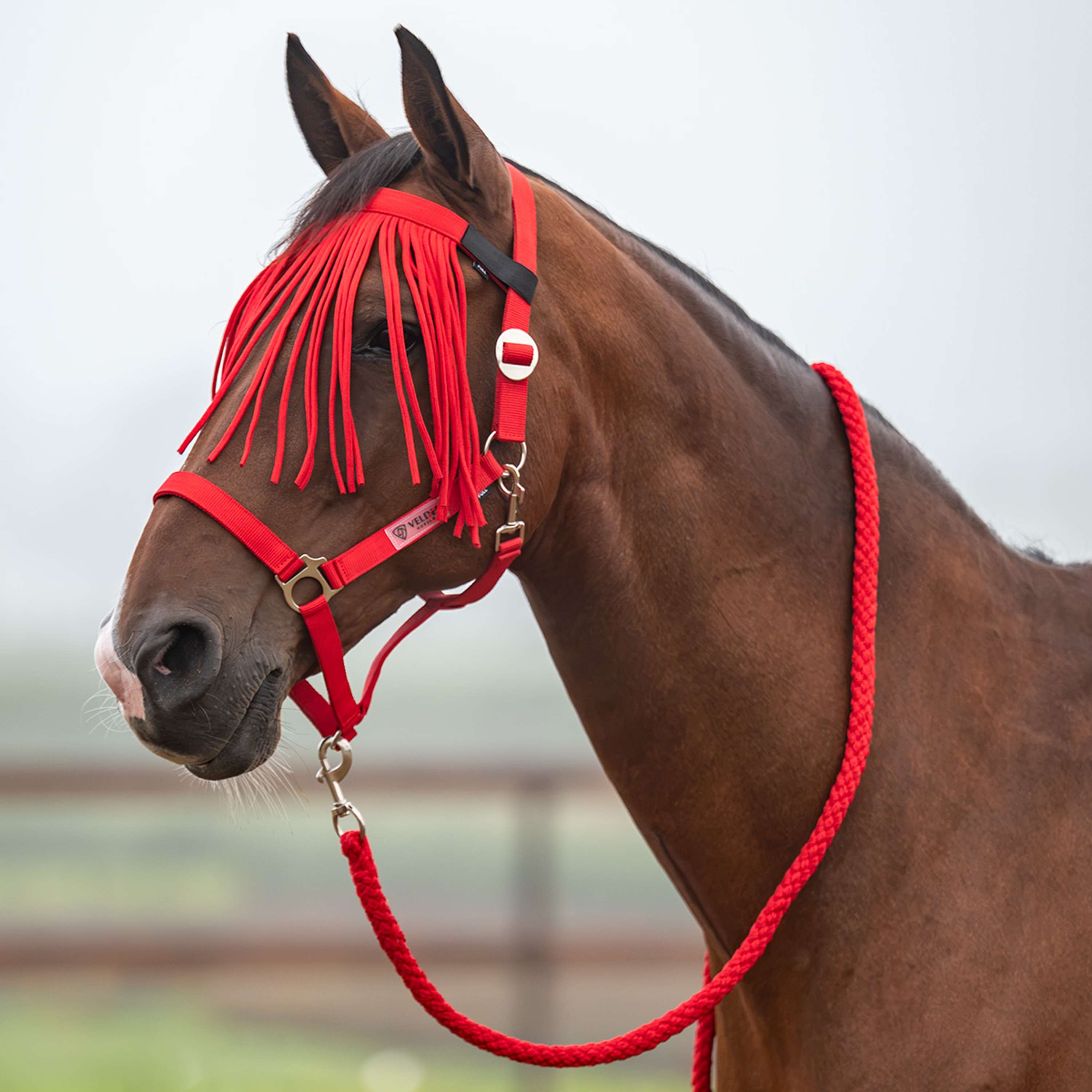 Velder Horsewear Essentials Halsterset Basic Summer High Risk Red