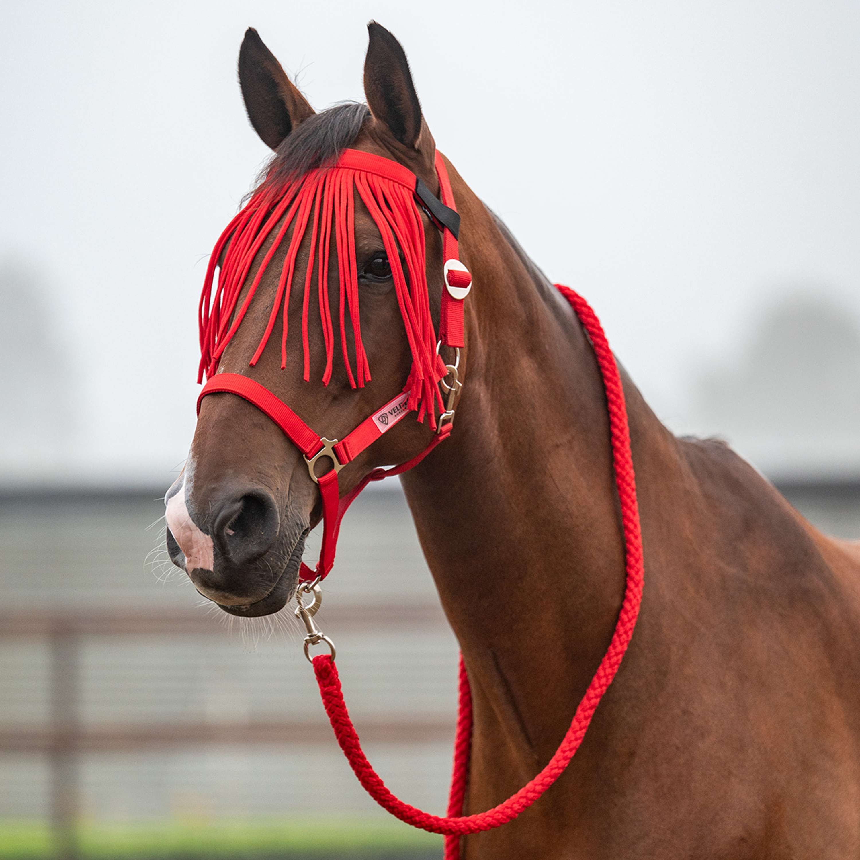 Velder Horsewear Essentials Halsterset Basic Summer High Risk Red