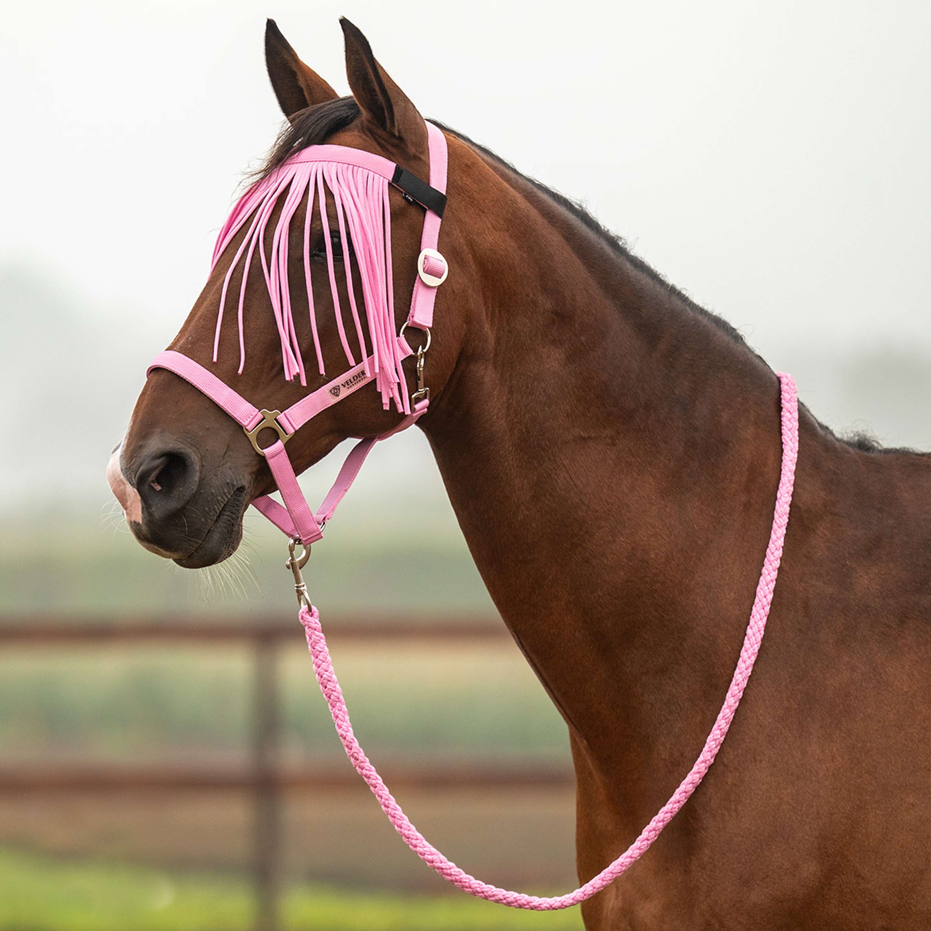 Velder Horsewear Essentials Halsterset Basic Summer Pop Pink