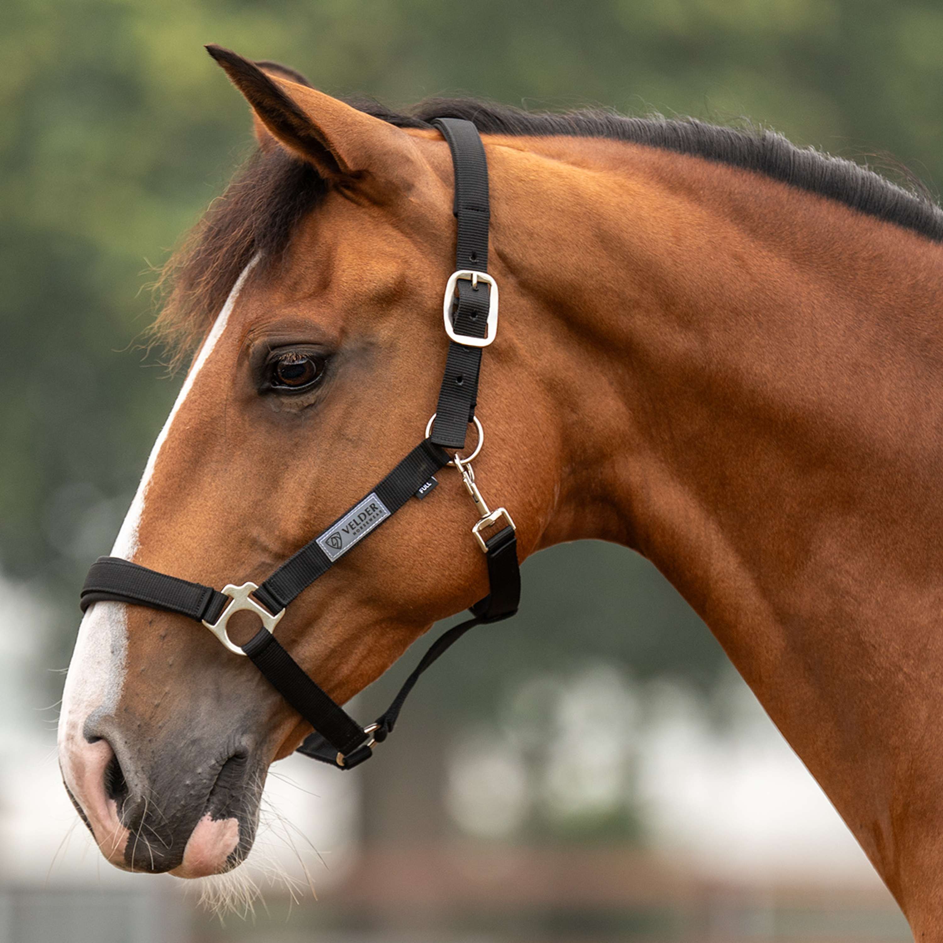 Velder Horsewear Essentials Halster Basic Comfort Zwart
