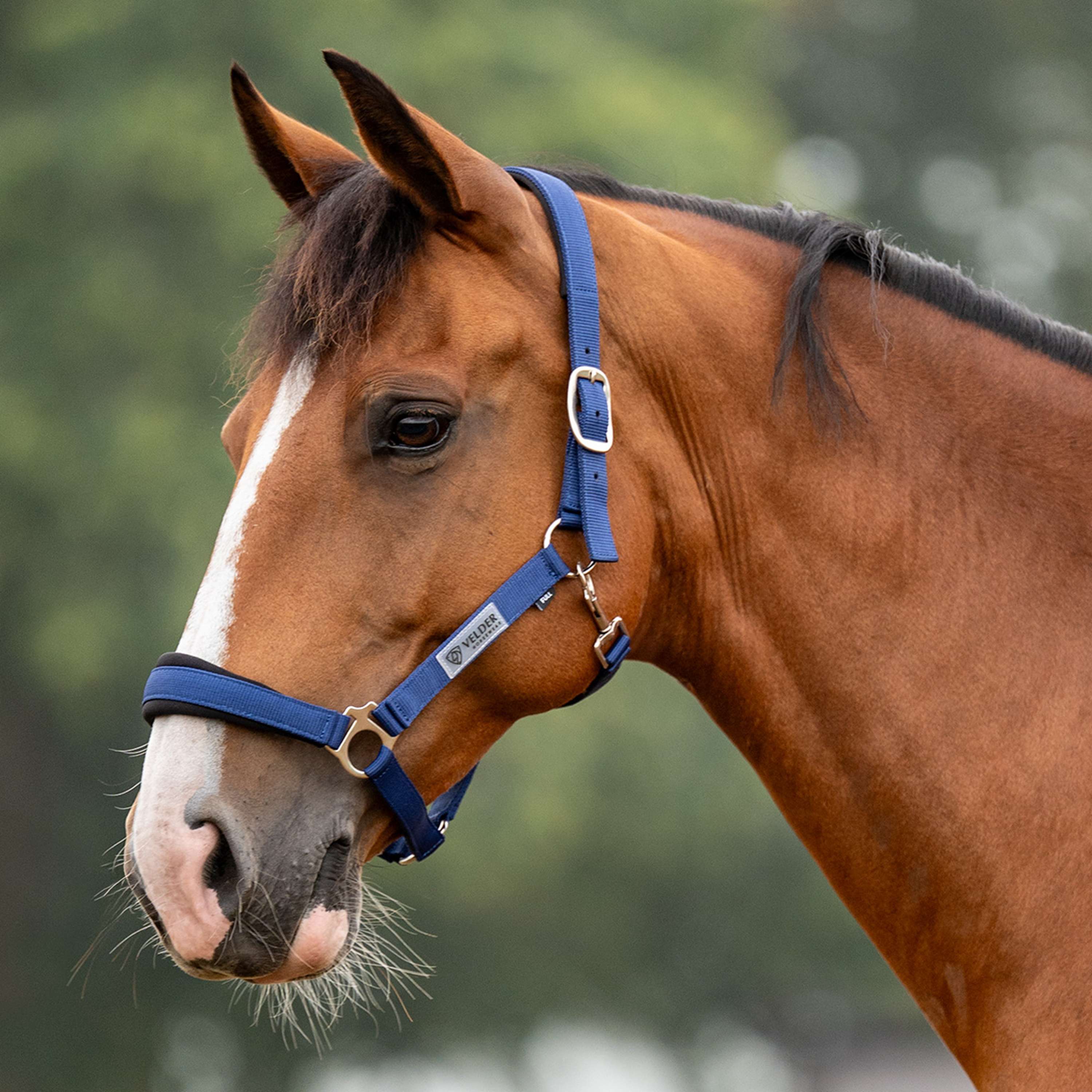 Velder Horsewear Essentials Halster Basic Comfort Navy