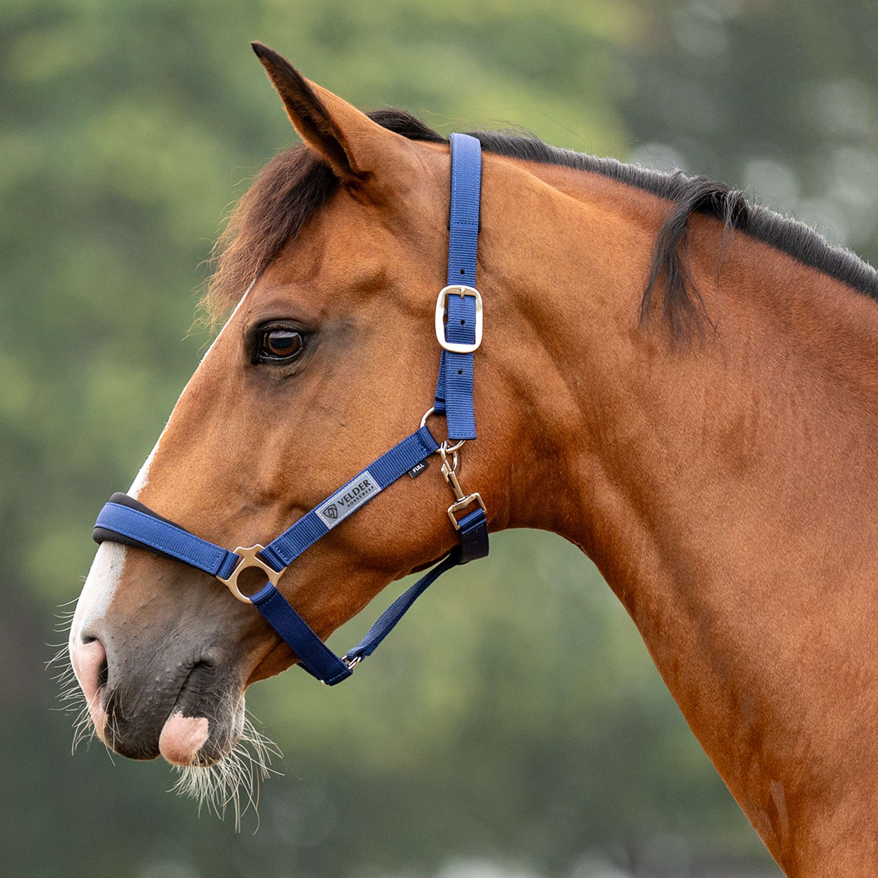 Velder Horsewear Essentials Halster Basic Comfort Navy