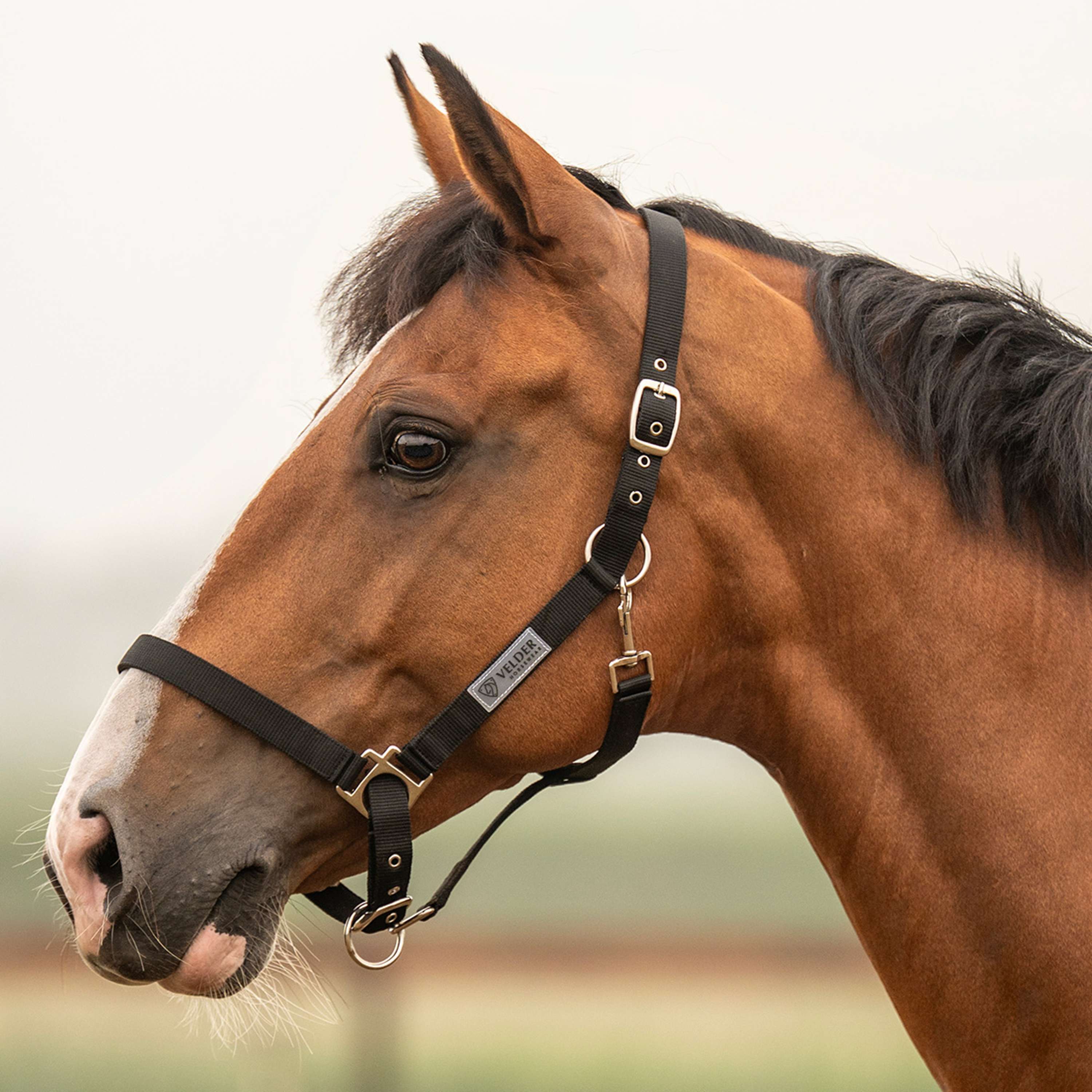 Velder Horsewear Essentials Halster Triple Adjustable Zwart