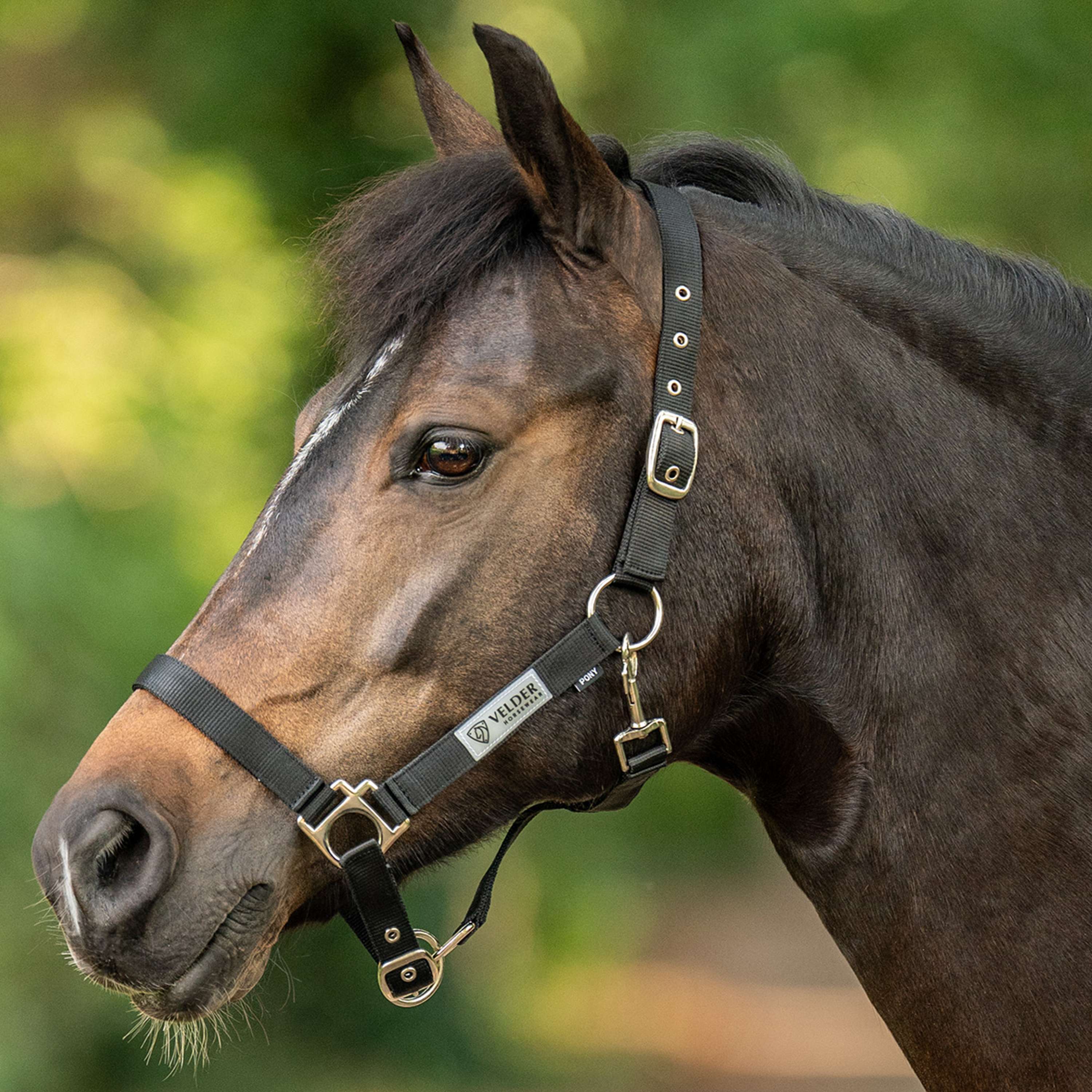 Velder Horsewear Essentials Halster Triple Adjustable Zwart