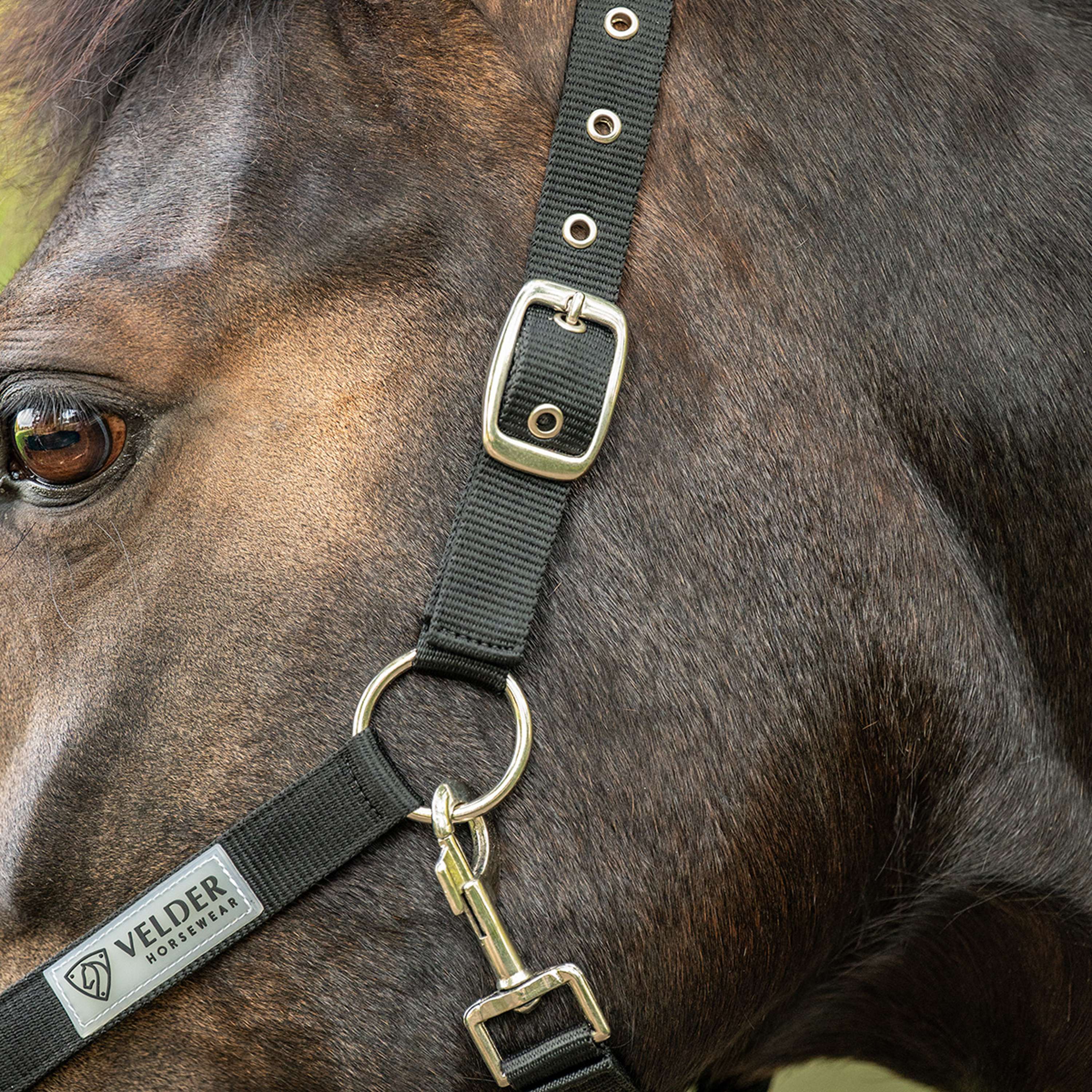 Velder Horsewear Essentials Halster Triple Adjustable Zwart
