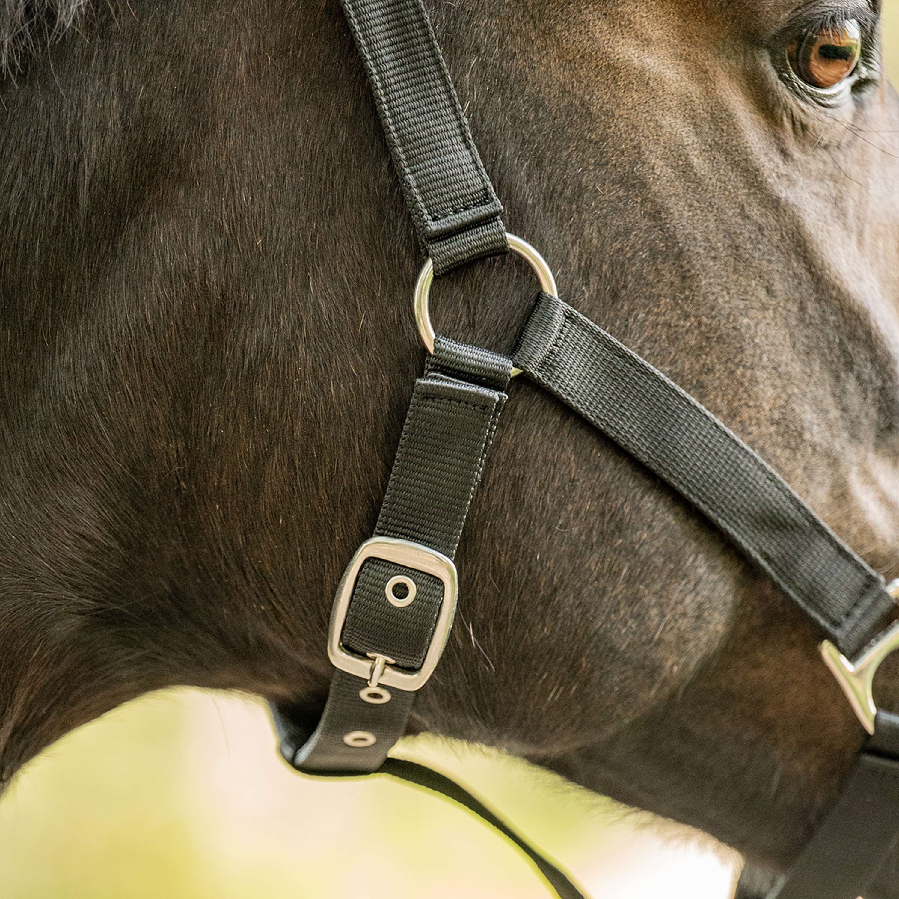 Velder Horsewear Essentials Halster Triple Adjustable Zwart