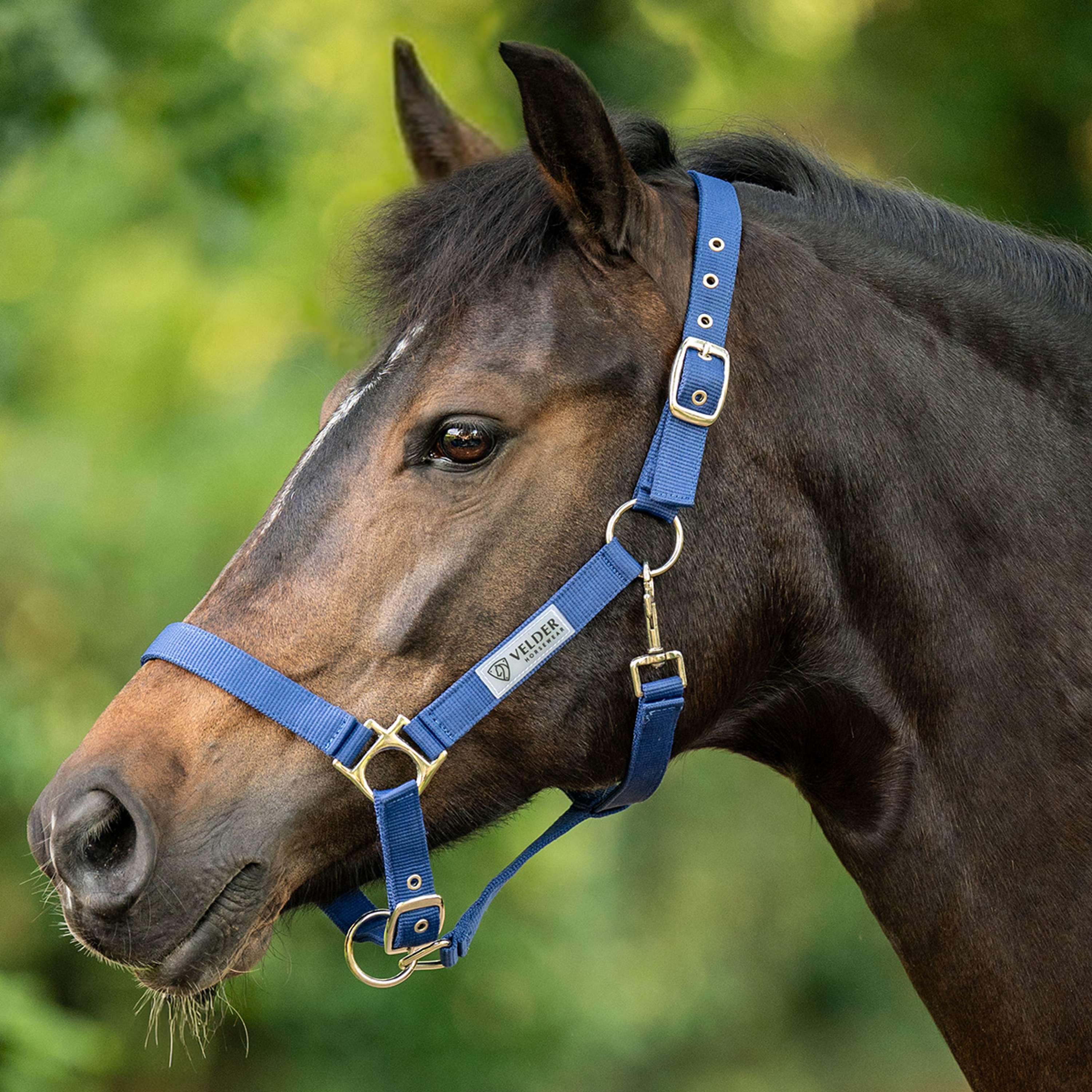 Velder Horsewear Essentials Halster Triple Adjustable Navy
