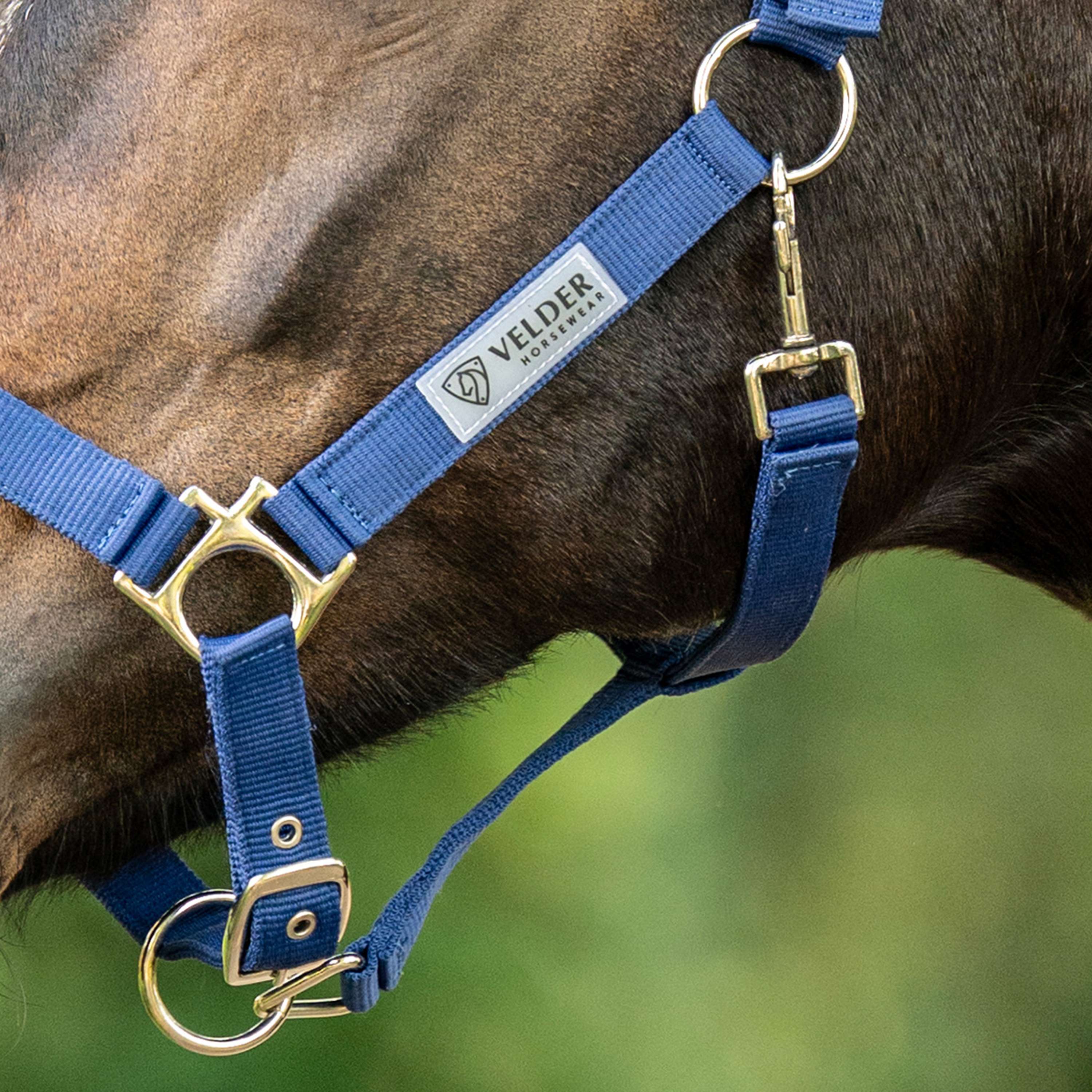 Velder Horsewear Essentials Halster Triple Adjustable Navy
