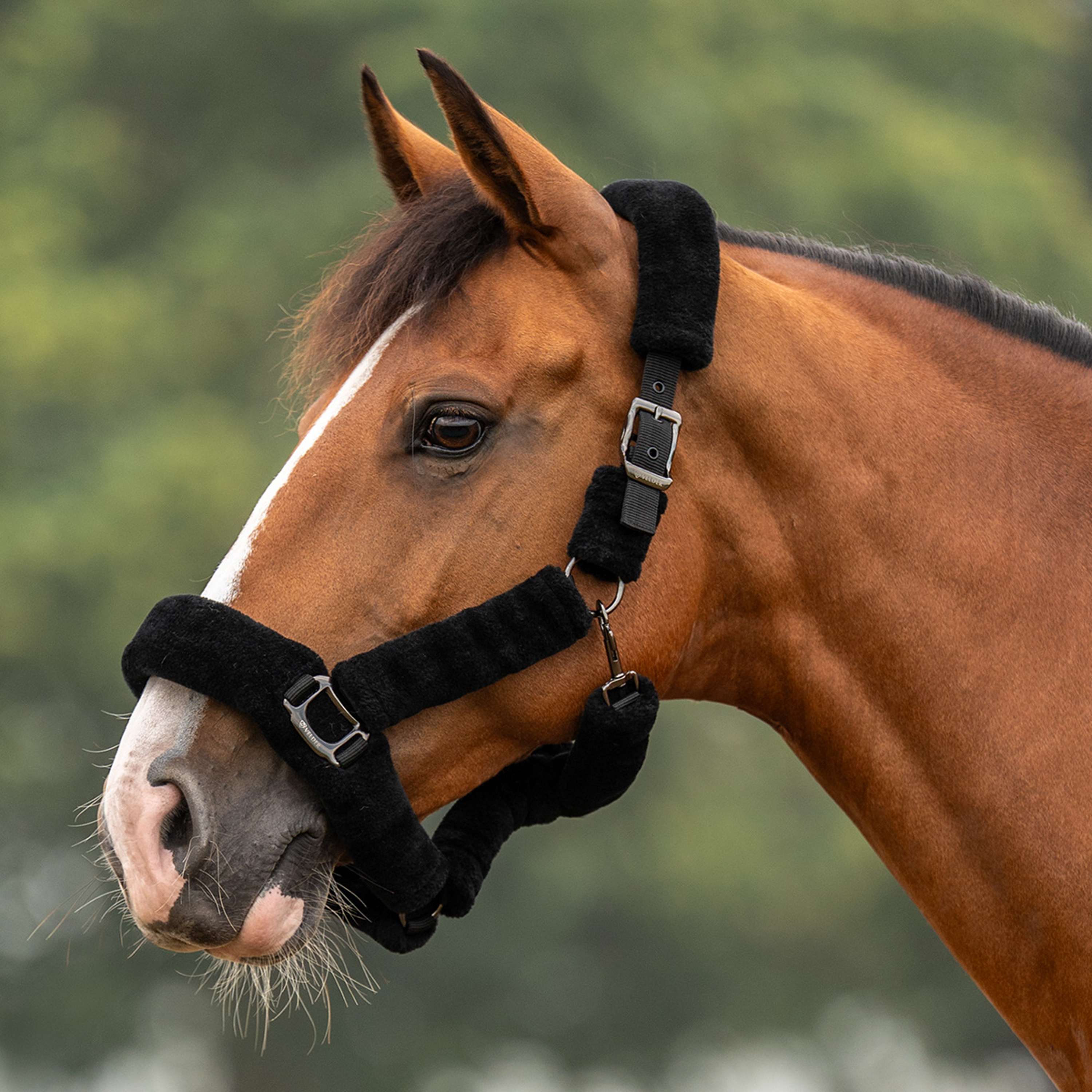 Velder Horsewear Premium Halster Comfort Fur Zwart