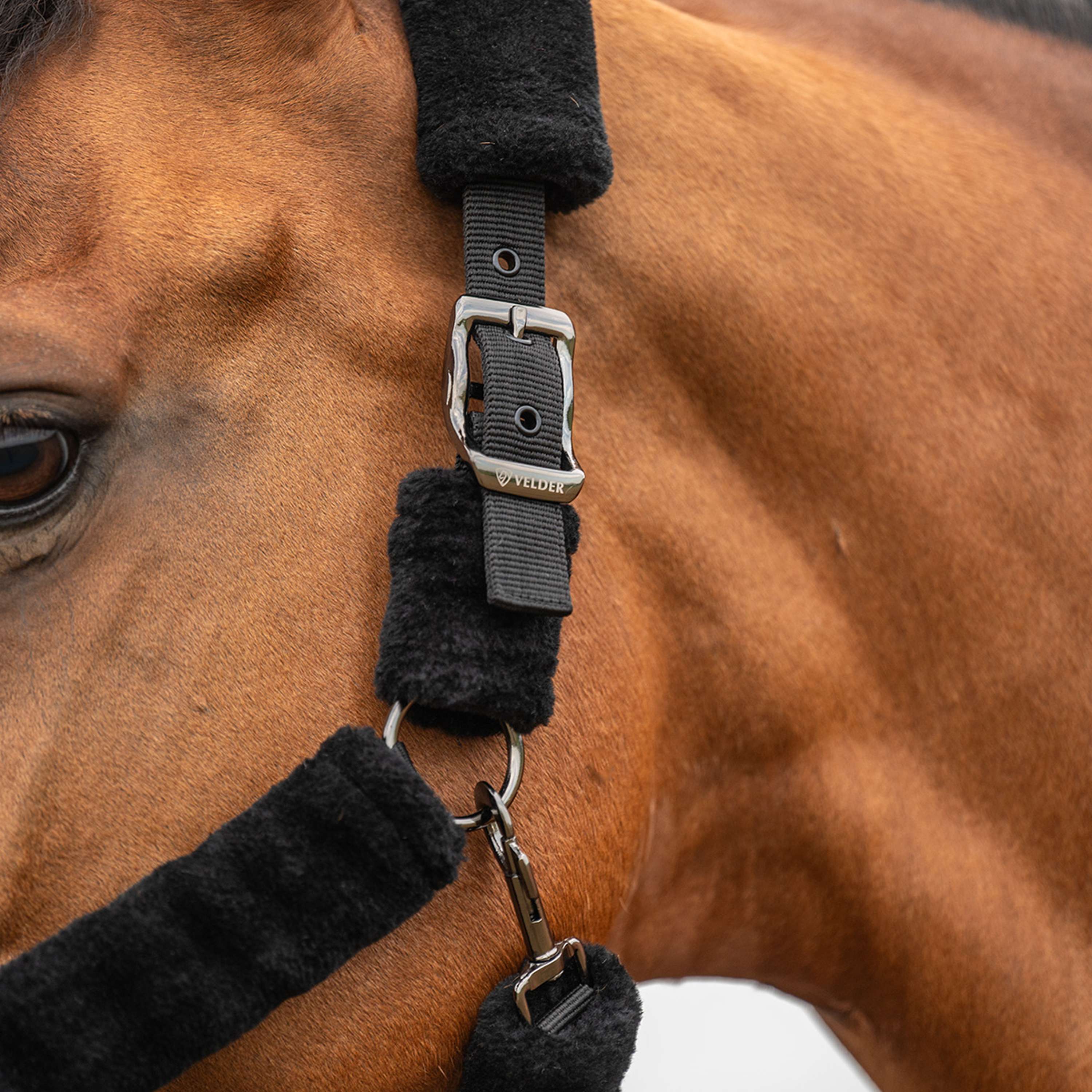 Velder Horsewear Premium Halster Comfort Fur Zwart