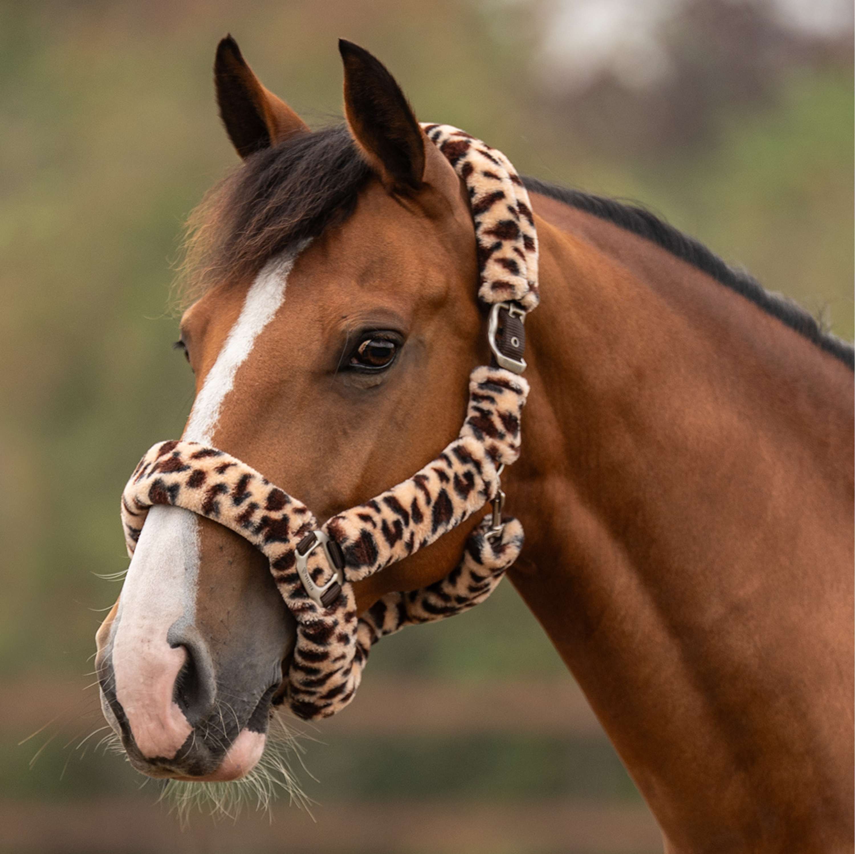 Velder Horsewear Premium Halster Comfort Fur Snow Leopard Bruin
