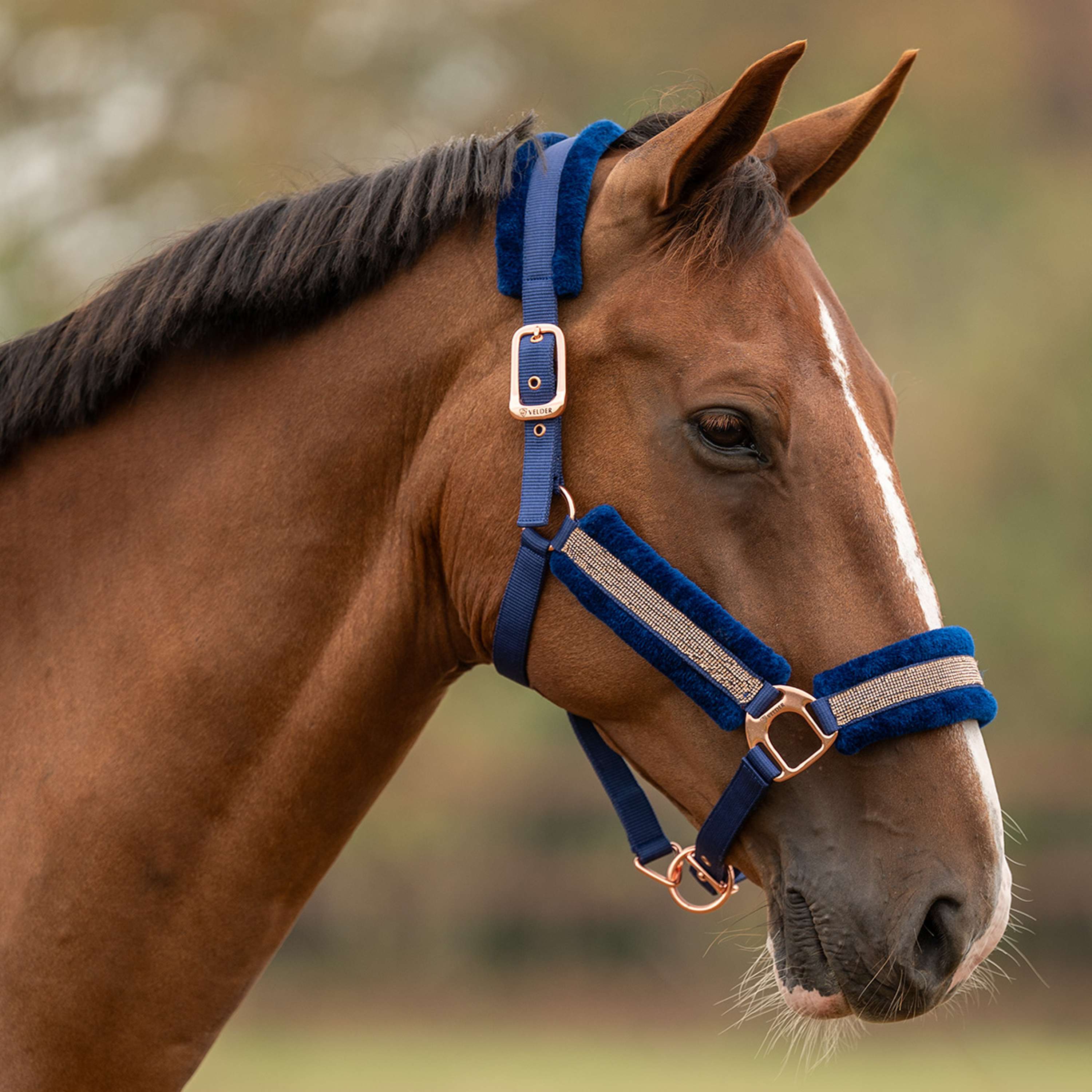 Velder Horsewear Essentials Halster Soft Sparkle Navy