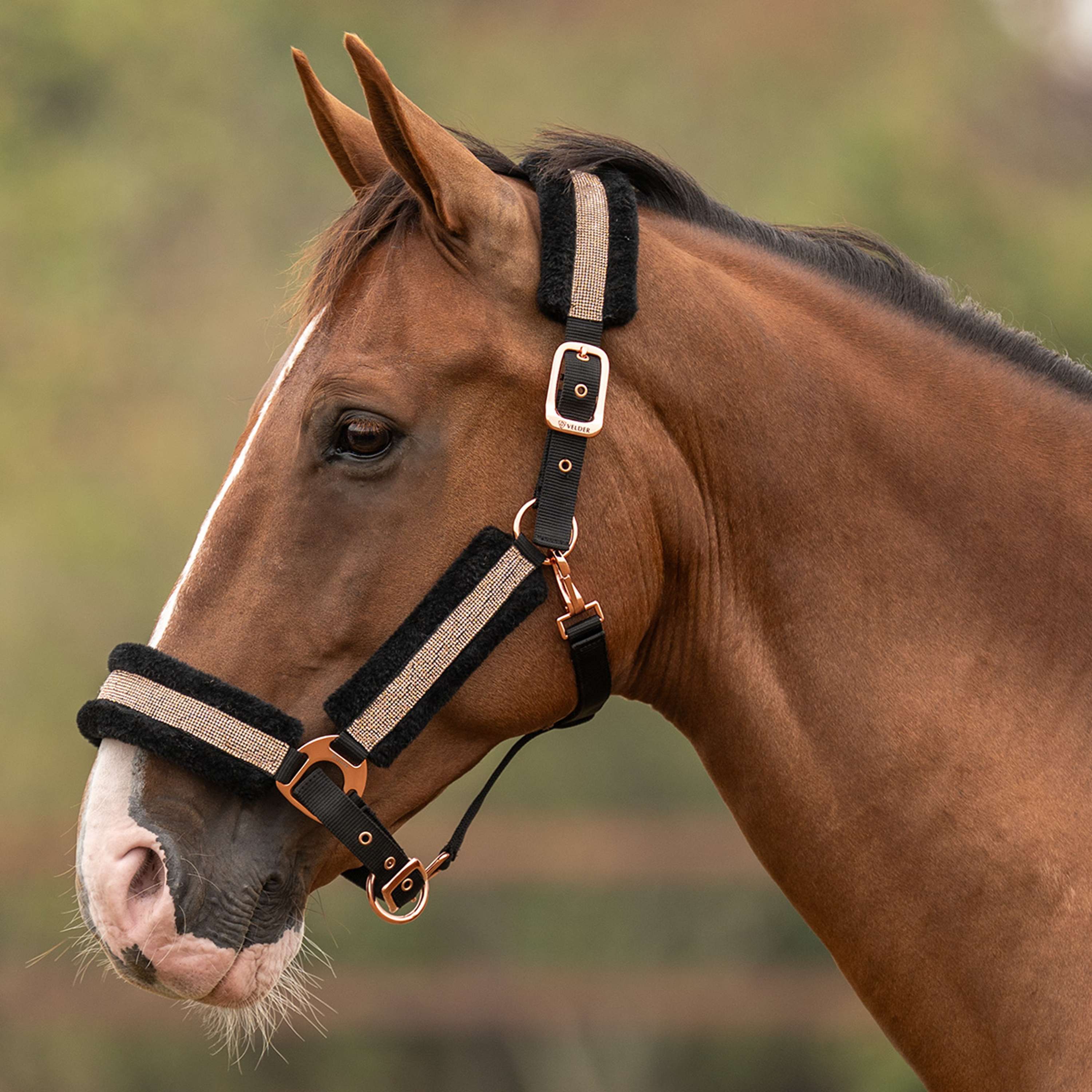 Velder Horsewear Essentials Halster Soft Sparkle Zwart