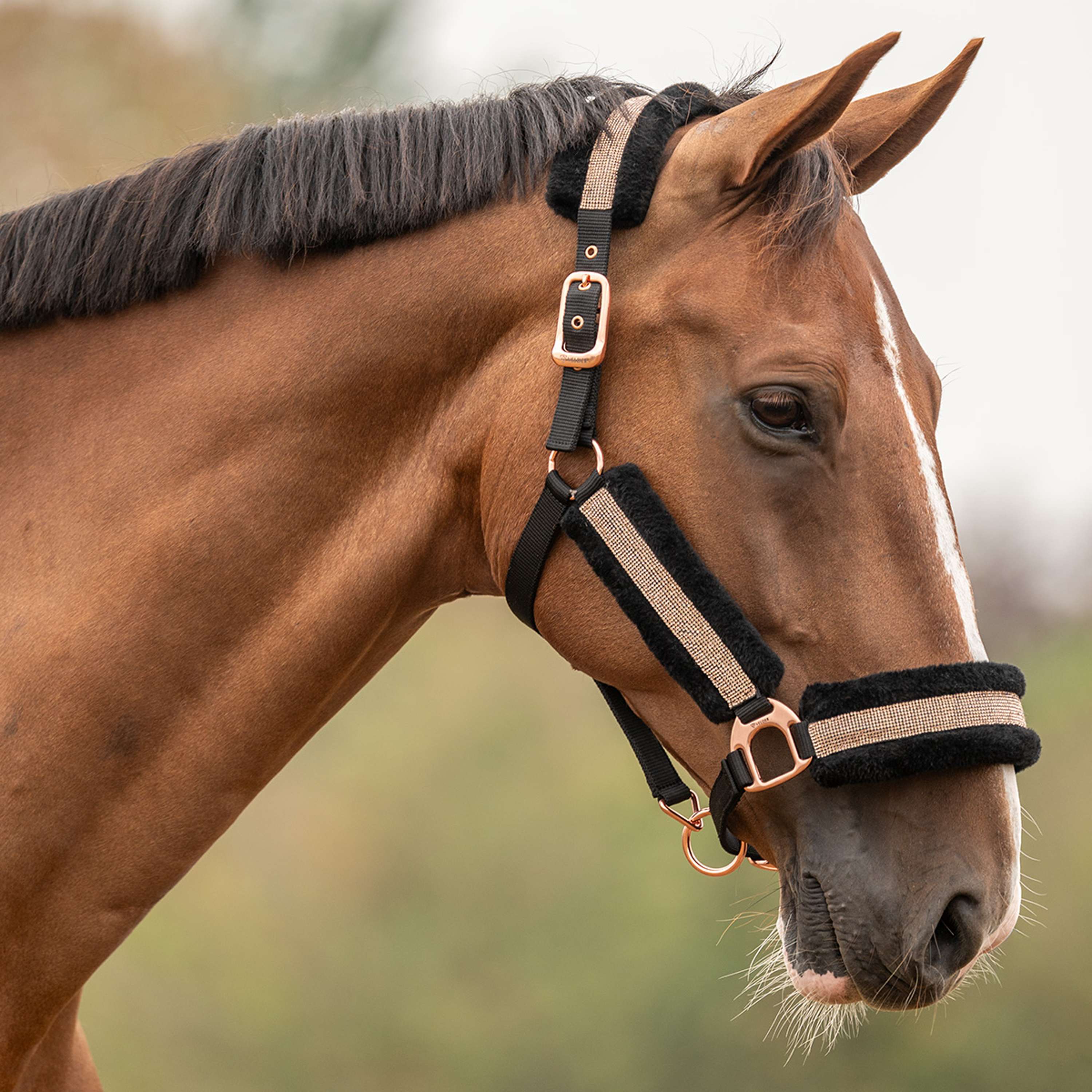 Velder Horsewear Essentials Halster Soft Sparkle Zwart