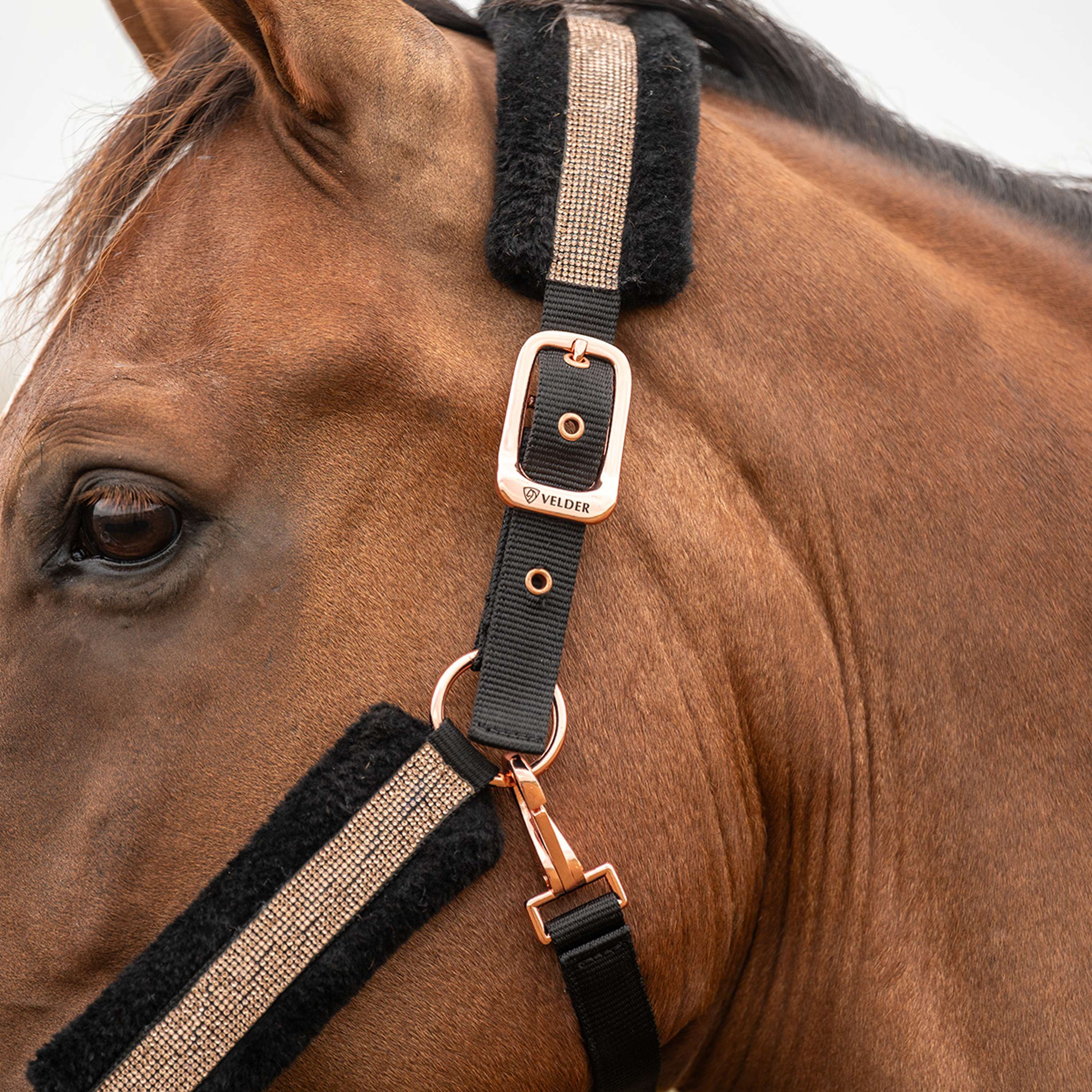 Velder Horsewear Essentials Halster Soft Sparkle Zwart
