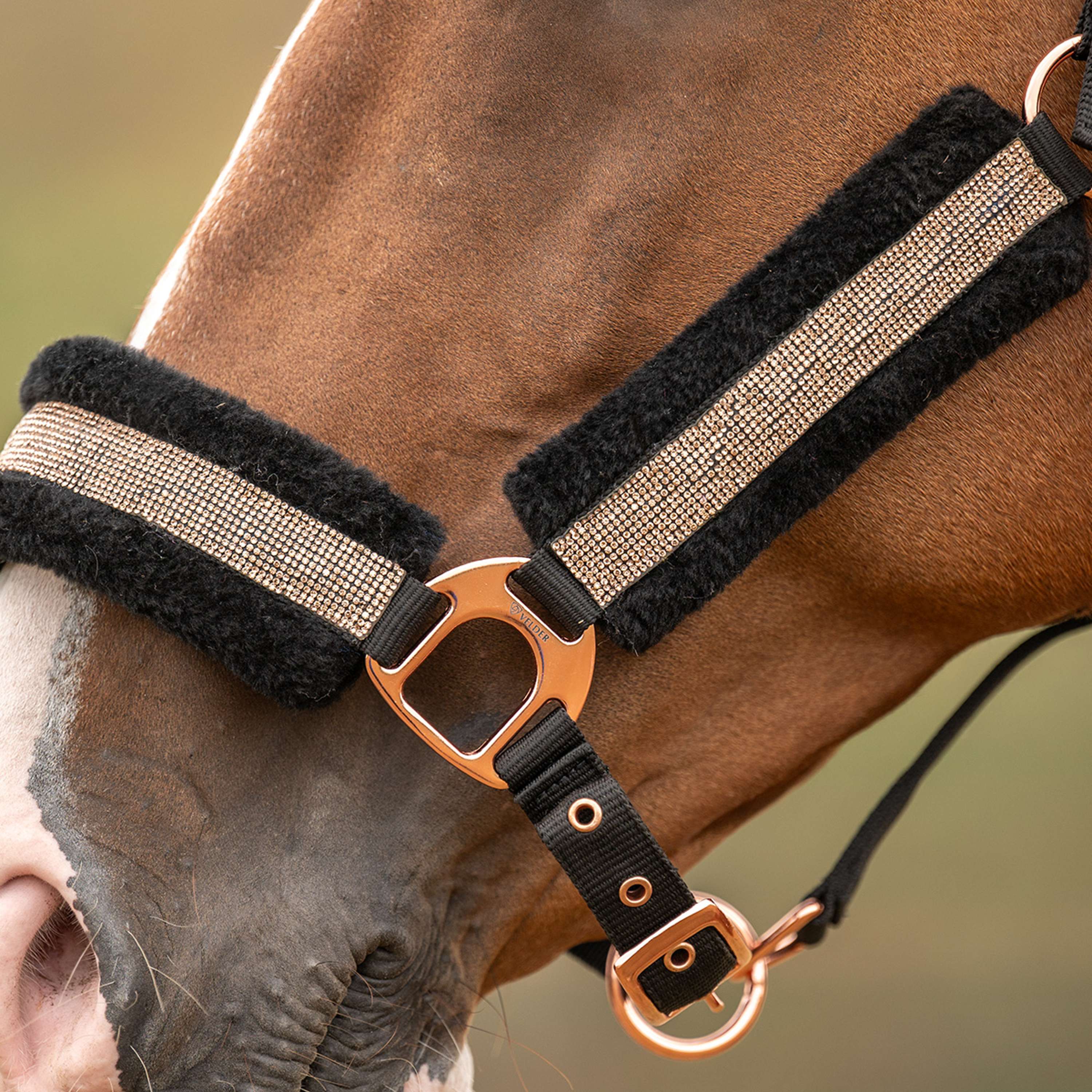 Velder Horsewear Essentials Halster Soft Sparkle Zwart