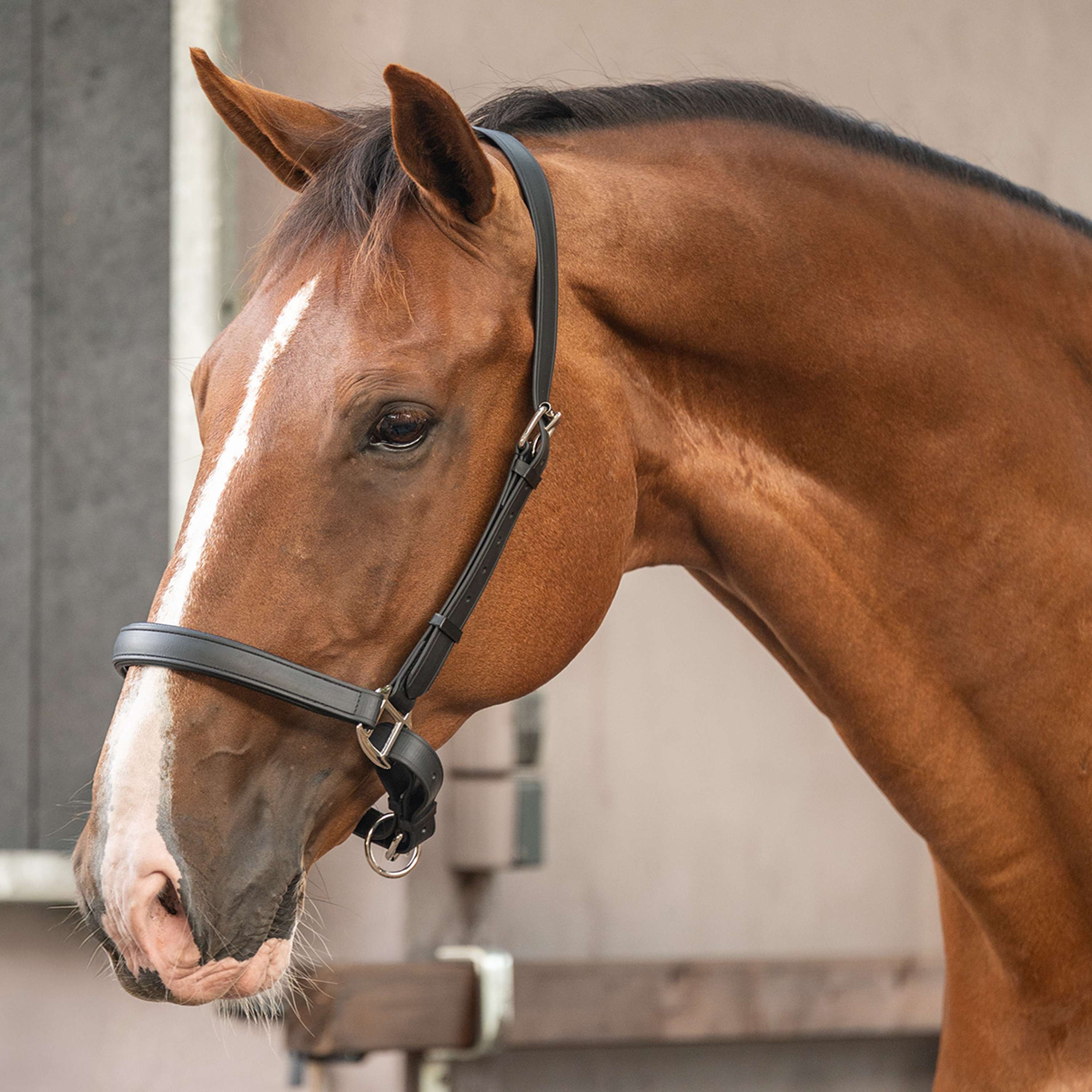 Velder Horsewear Premium Halster WashPro Zwart