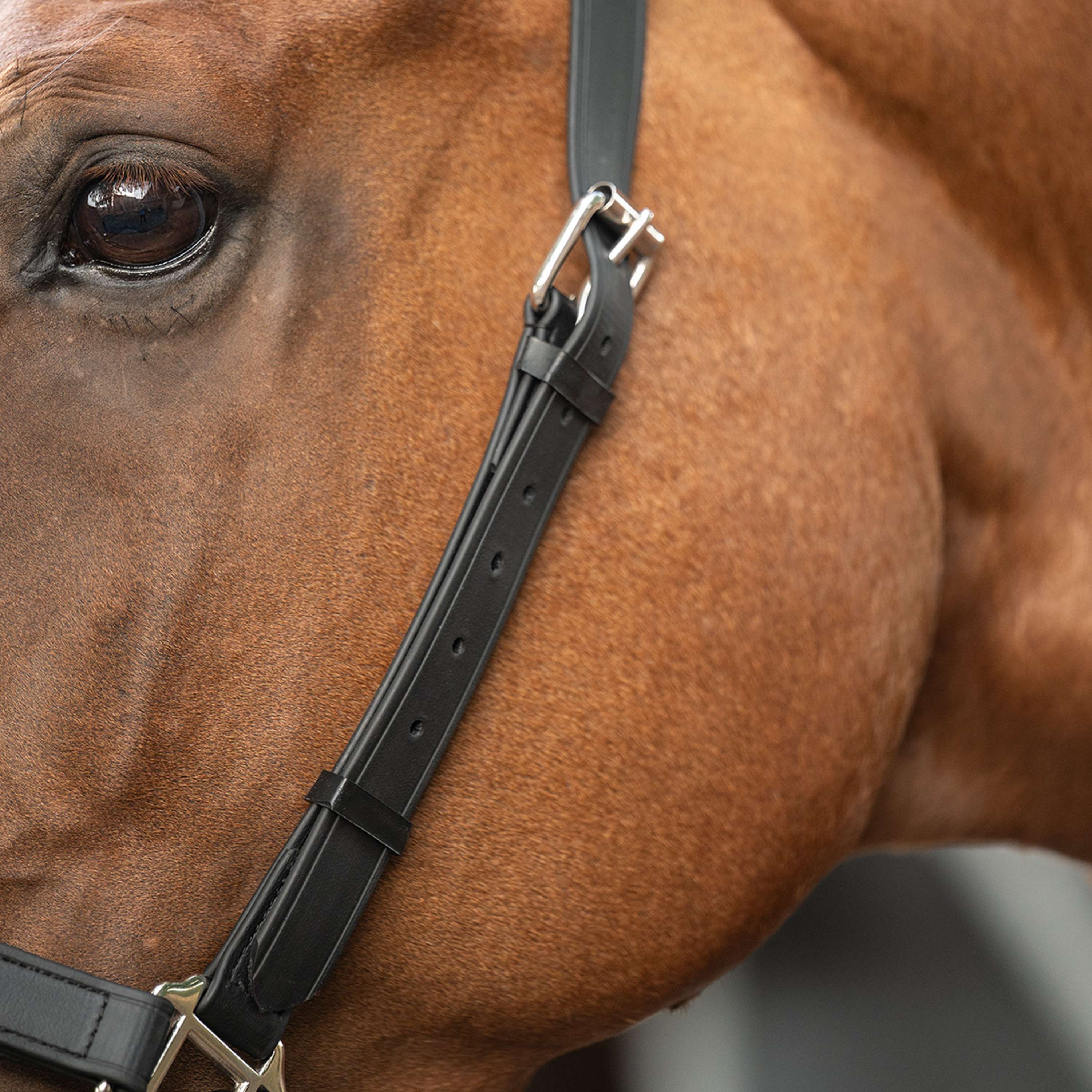 Velder Horsewear Premium Halster WashPro Zwart