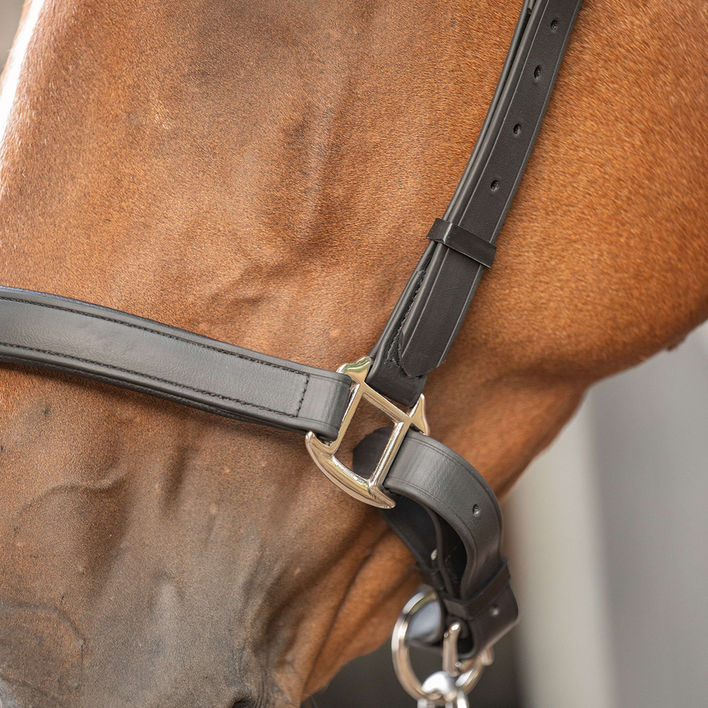 Velder Horsewear Premium Halster WashPro Zwart