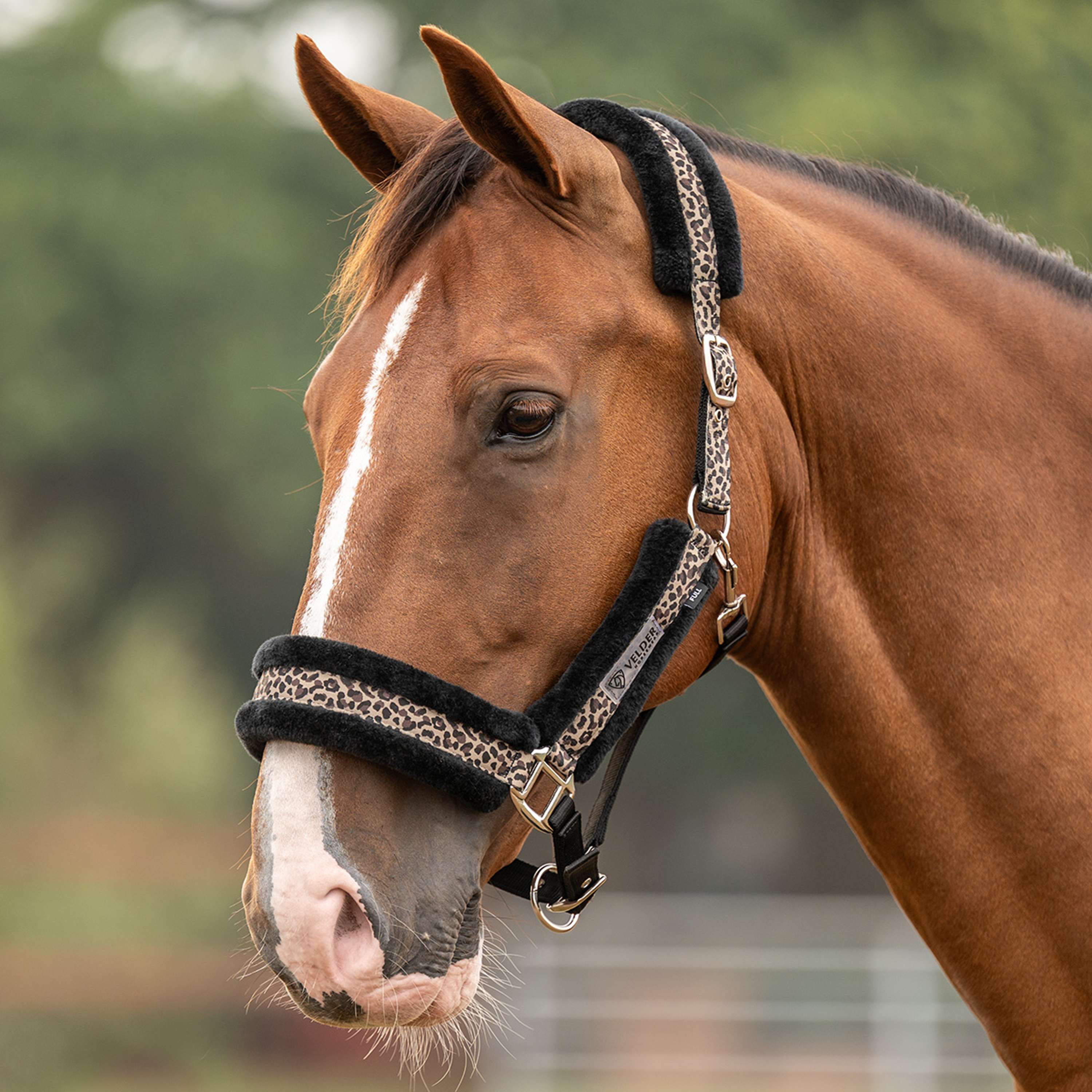 Velder Horsewear Essentials Halster Savanna Soft Earth Leopard