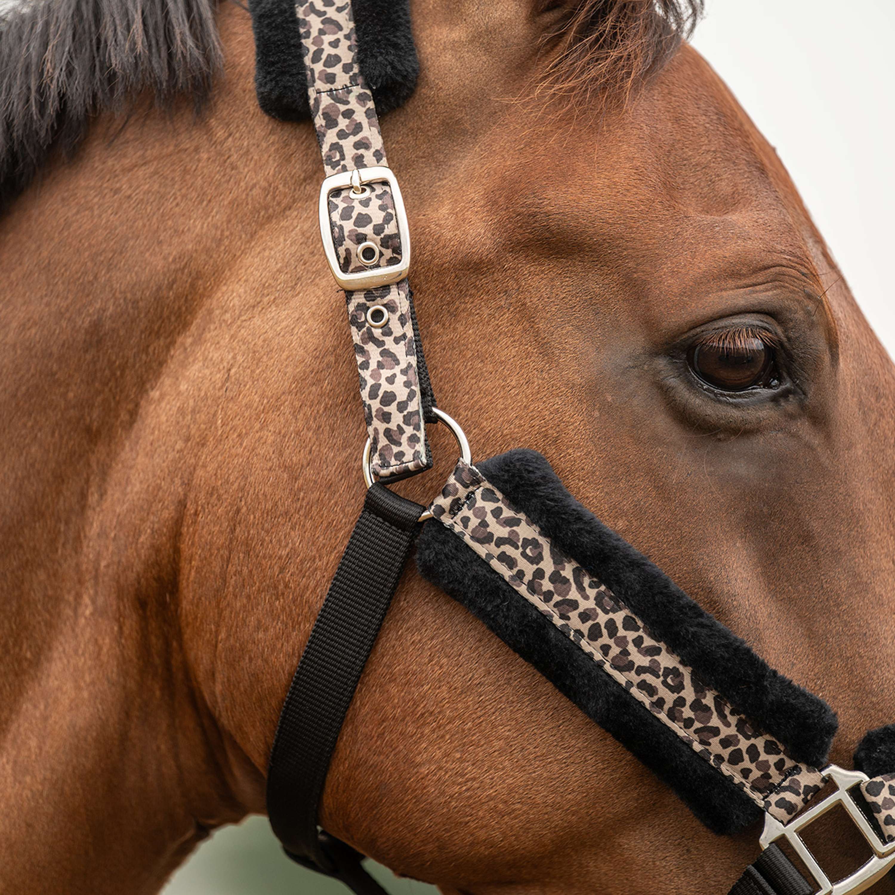Velder Horsewear Essentials Halster Savanna Soft Earth Leopard