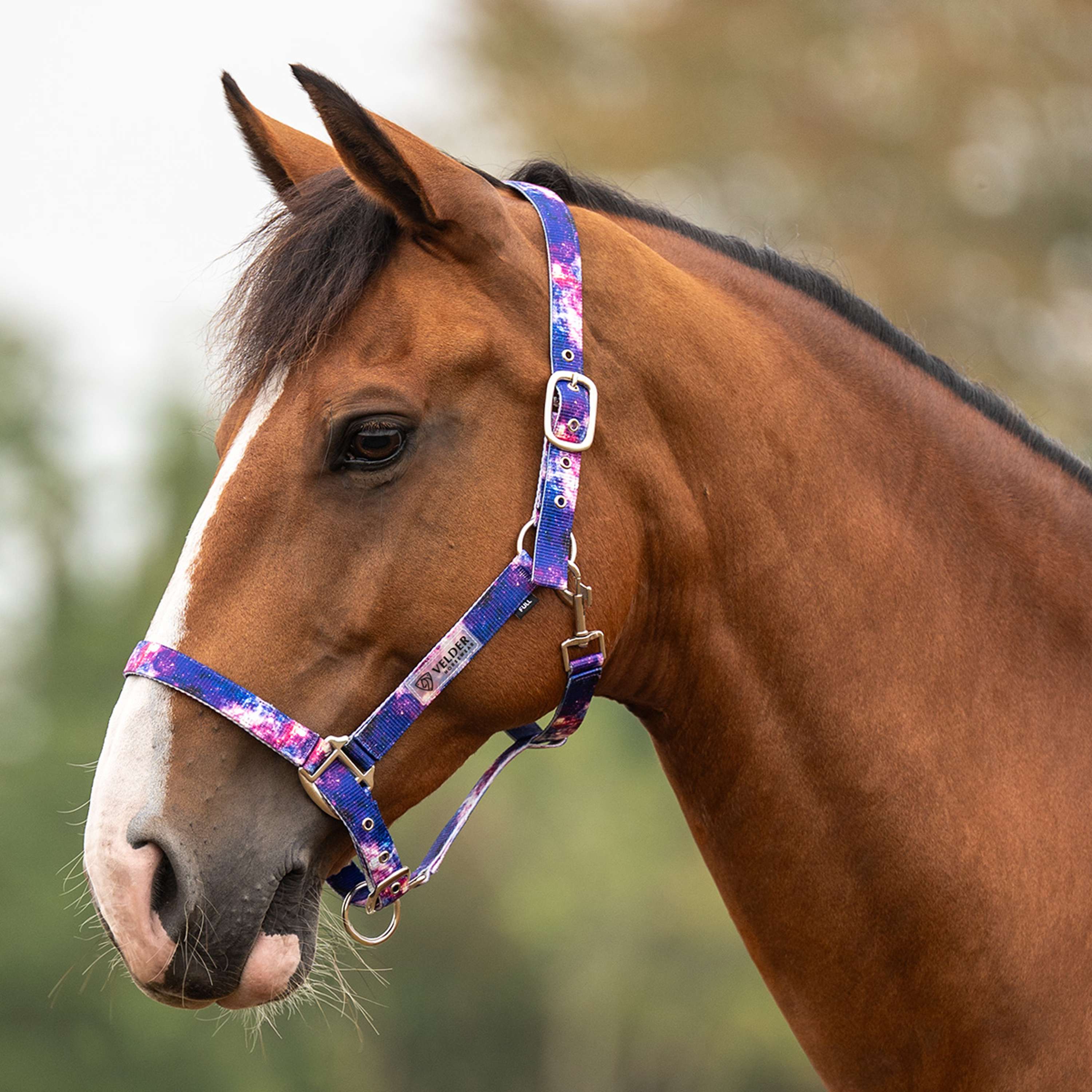 Velder Horsewear Essentials Halster Galaxy Blauw/Roze