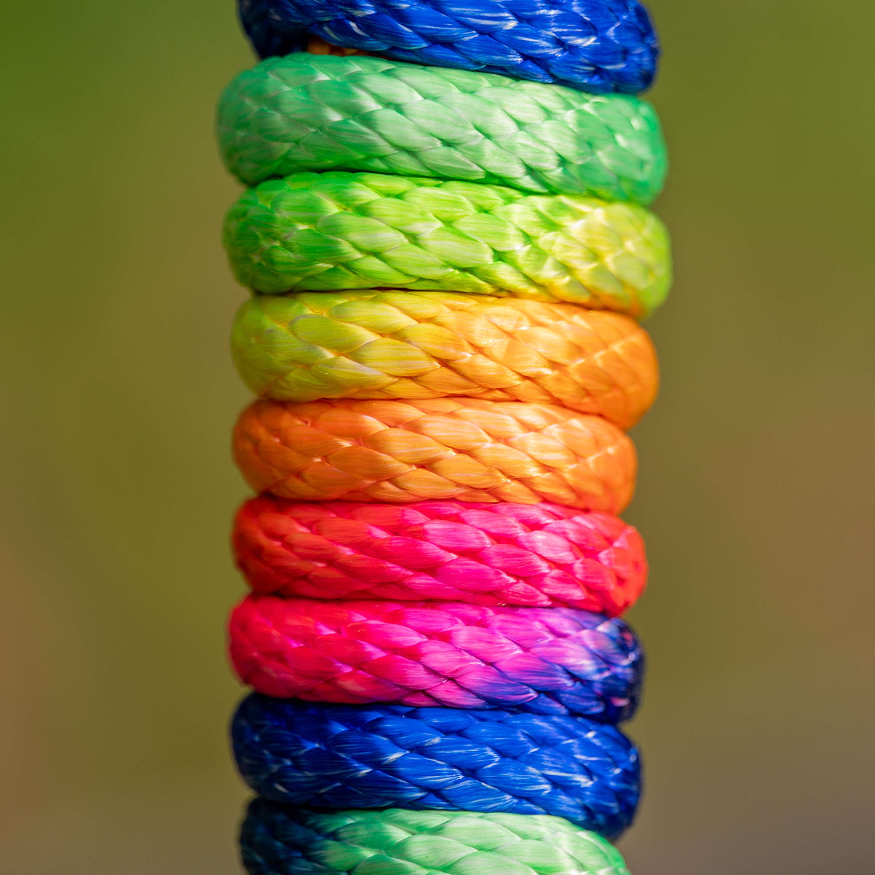 Velder Horsewear Halstertouw Colorful Stripe Rainbow Pastel