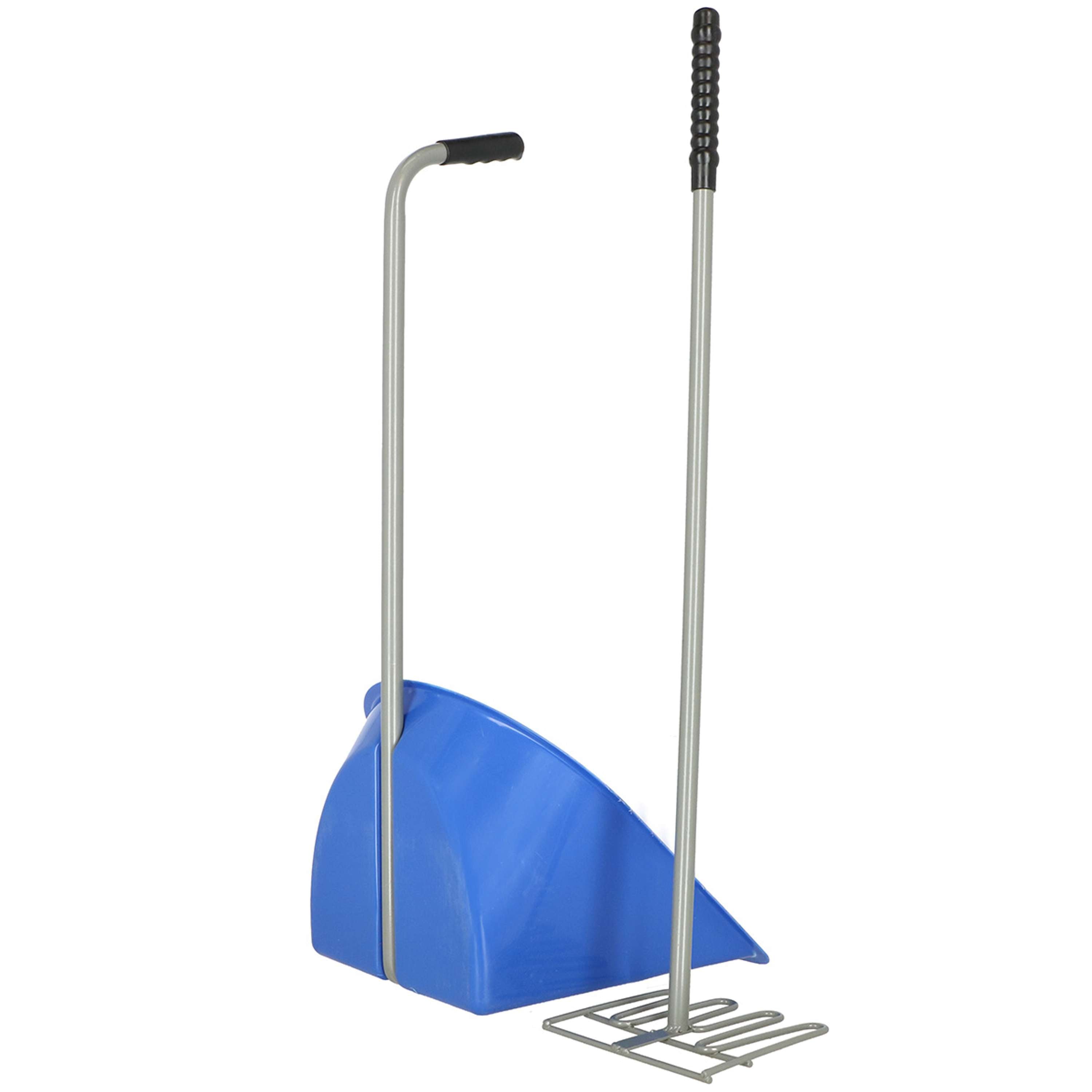 Agradi Horse Mestboy Royal Blue