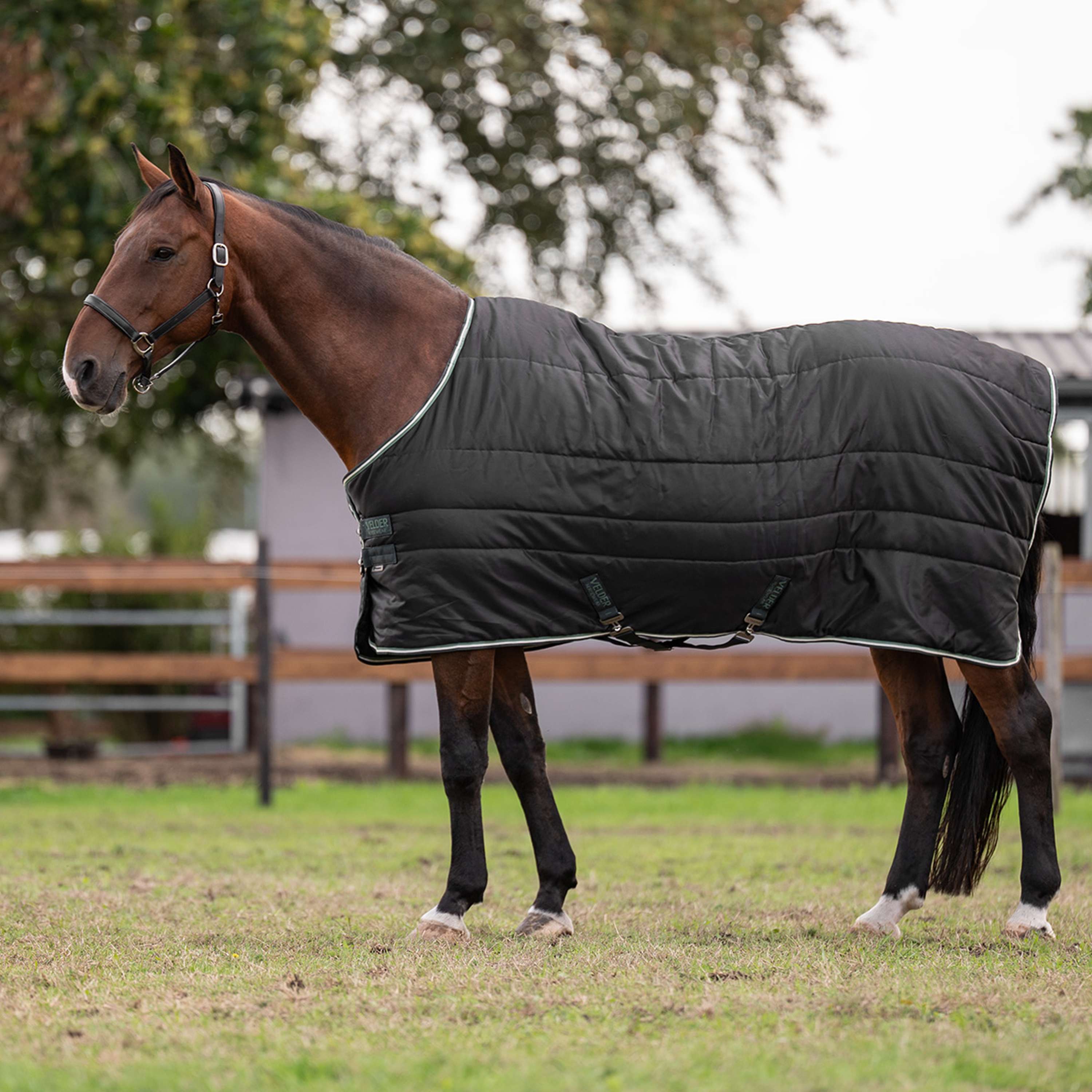 Velder Horsewear Premium Staldeken 210D Diamond Ripstop 100g Night Forest