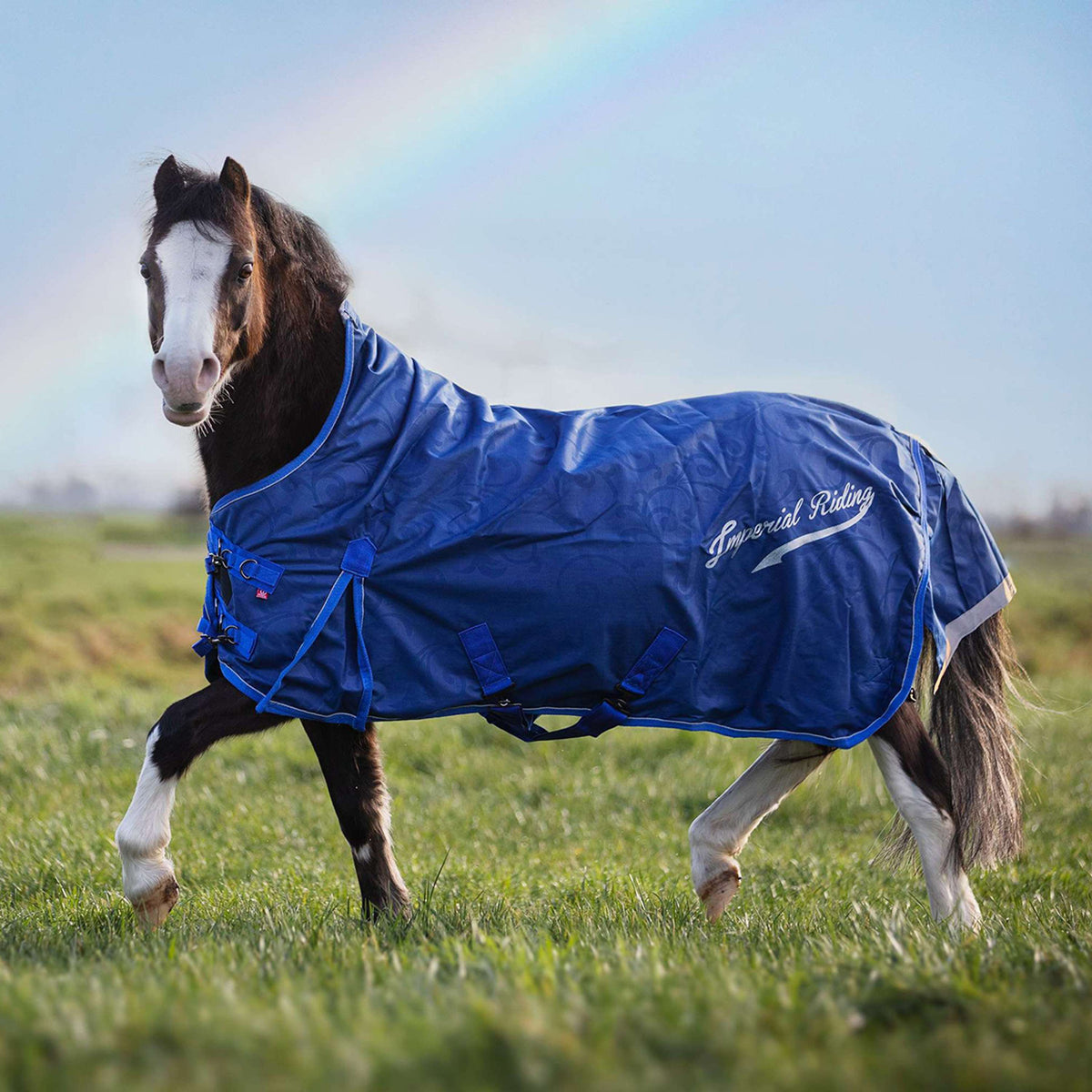 Imperial Riding Regendeken IRHSuper-Dry 0g Navy